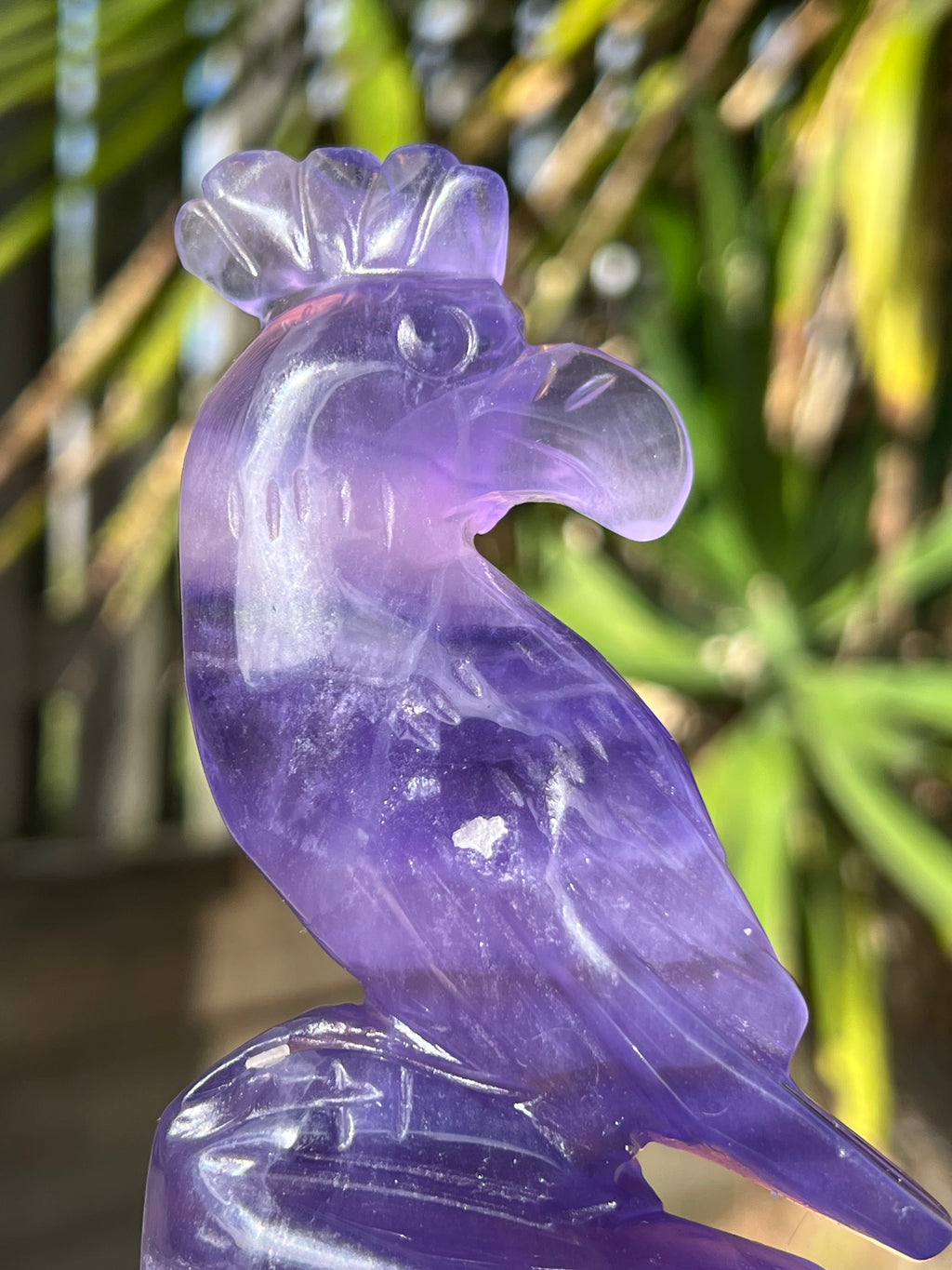 Purple Fluorite Parrot