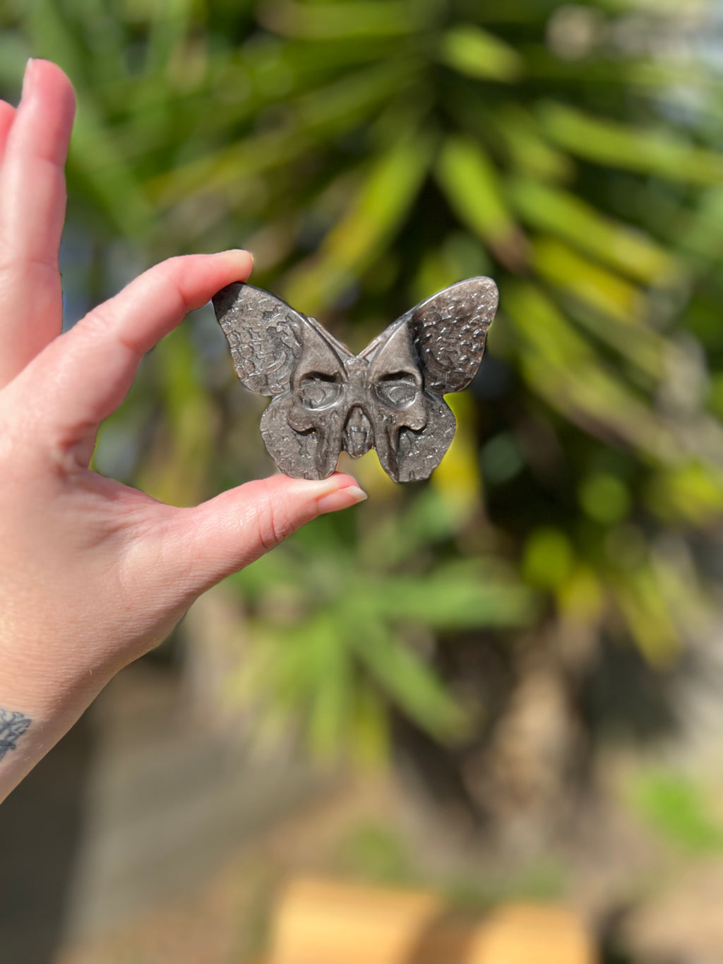 Silver Sheen Obsidian Death Head Moth 1