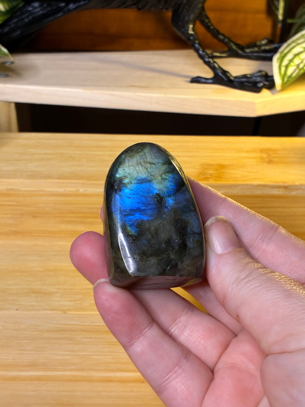 Small Labradorite Freeform