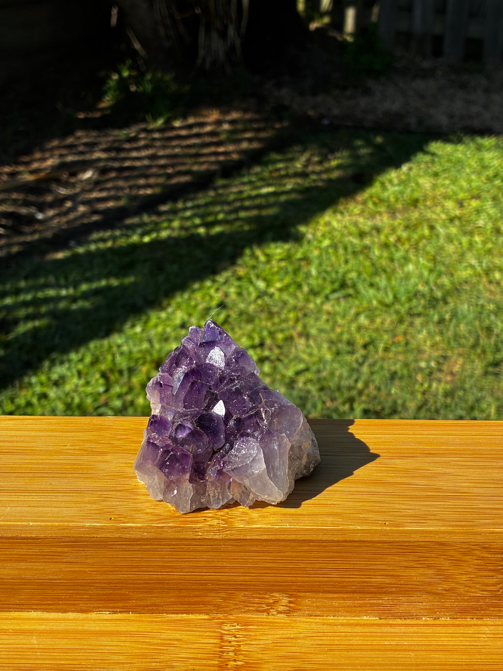 Amethyst Crystal Cluster Specimen