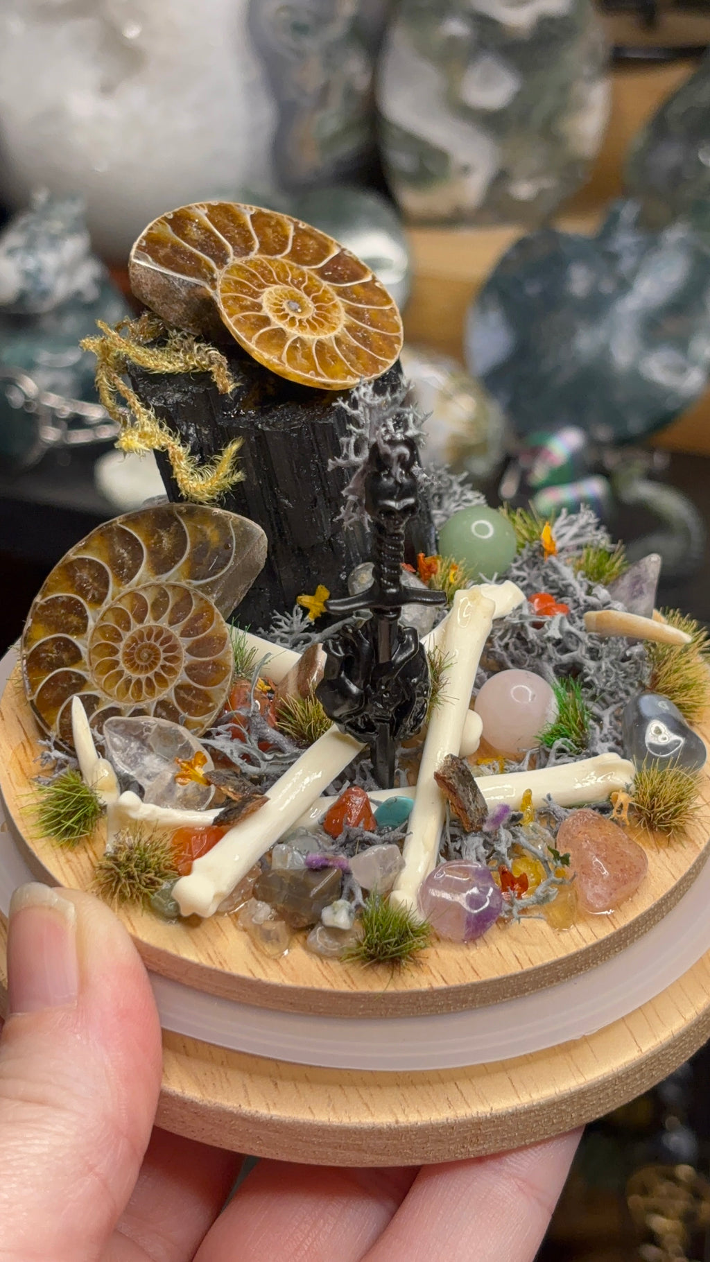 Ancient Debris Curio Dome