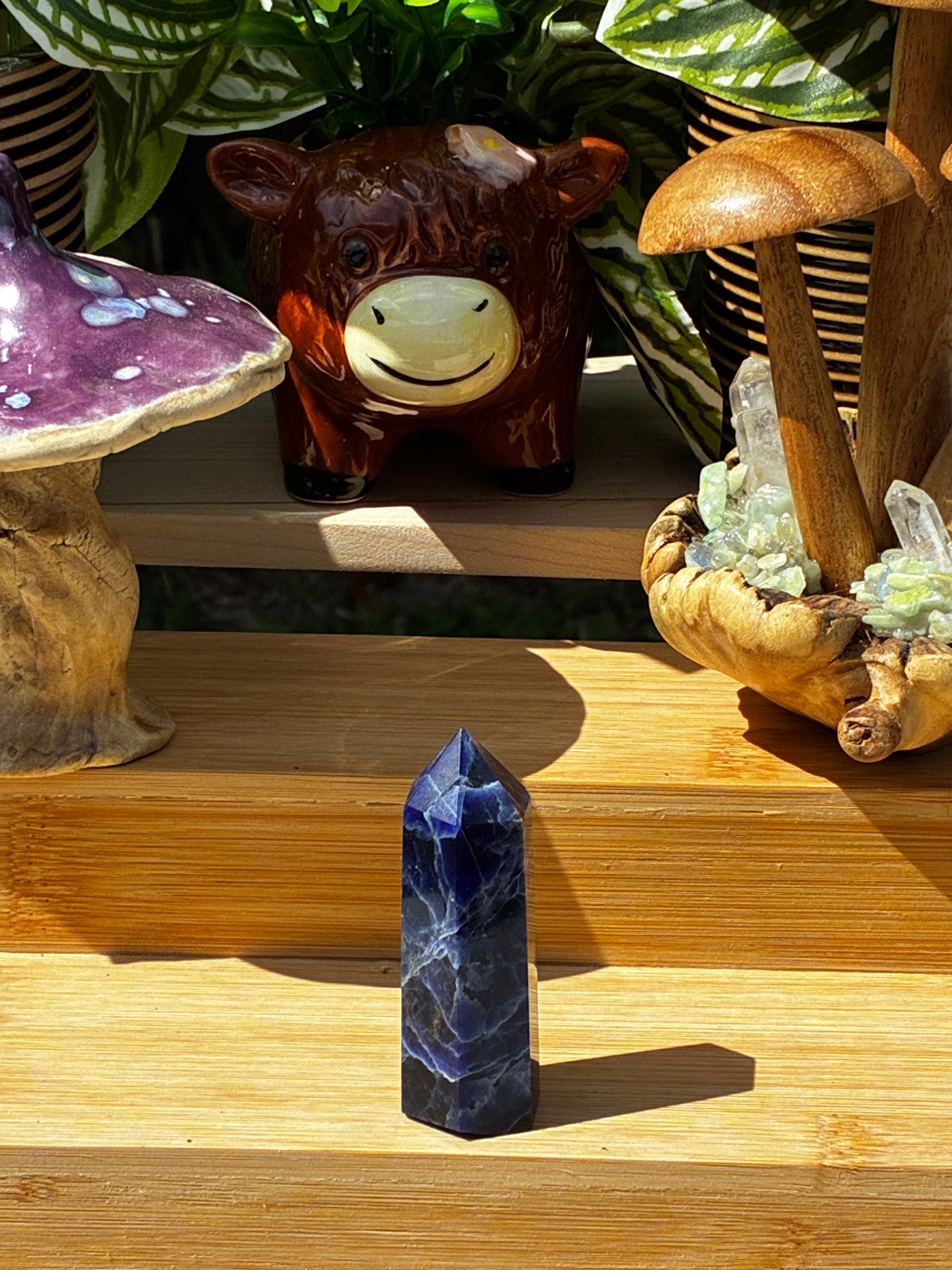 Sodalite Point 4