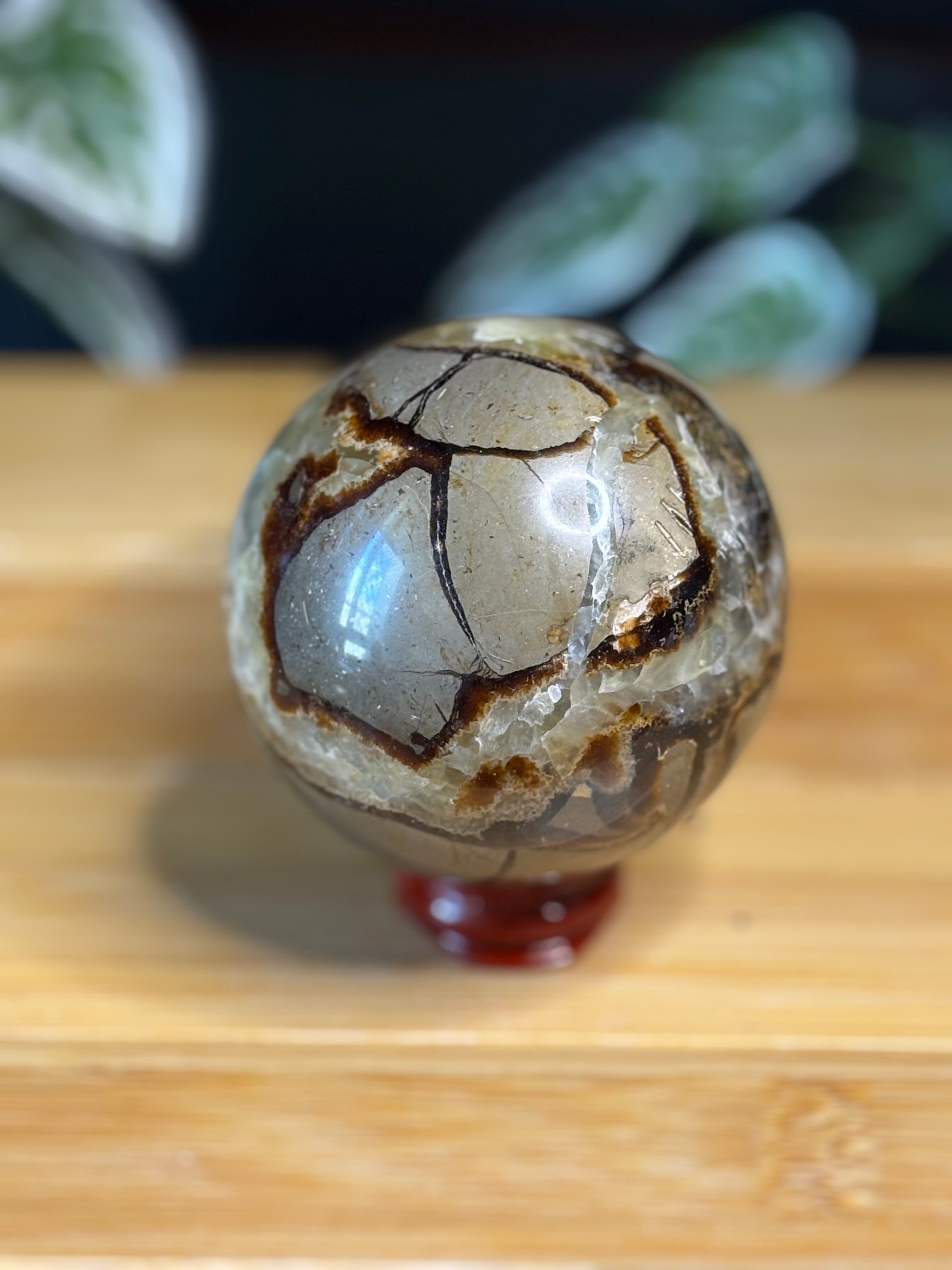 Septarian Sphere 1