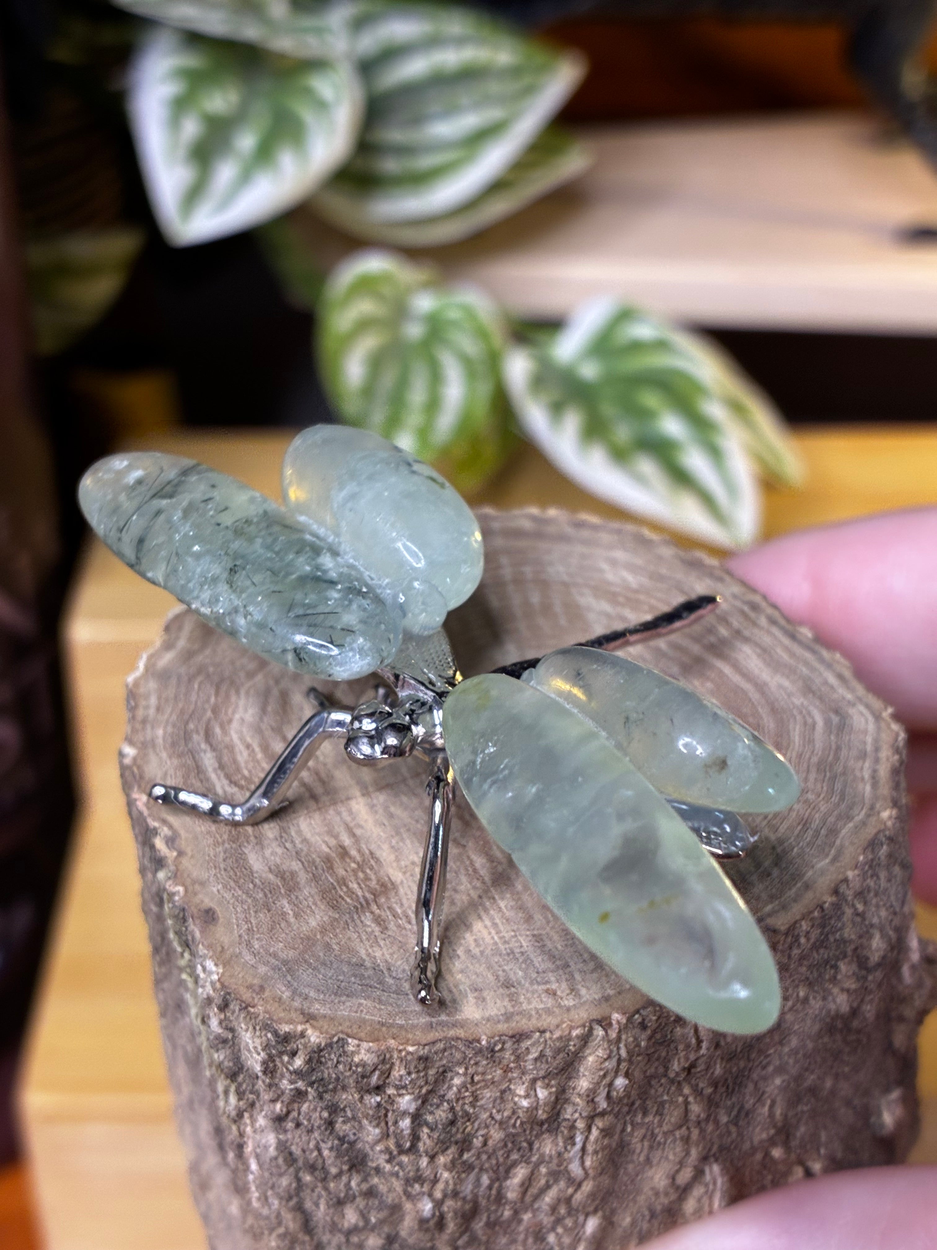 Prehnite Dragonfly 2