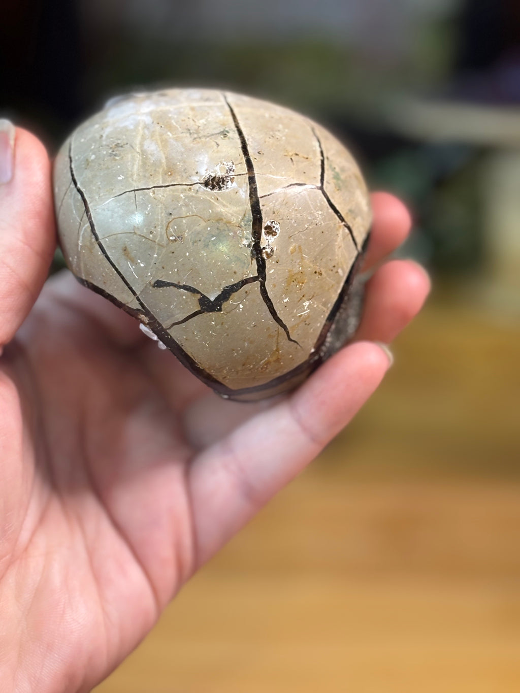 Septarian Egg w/calcite