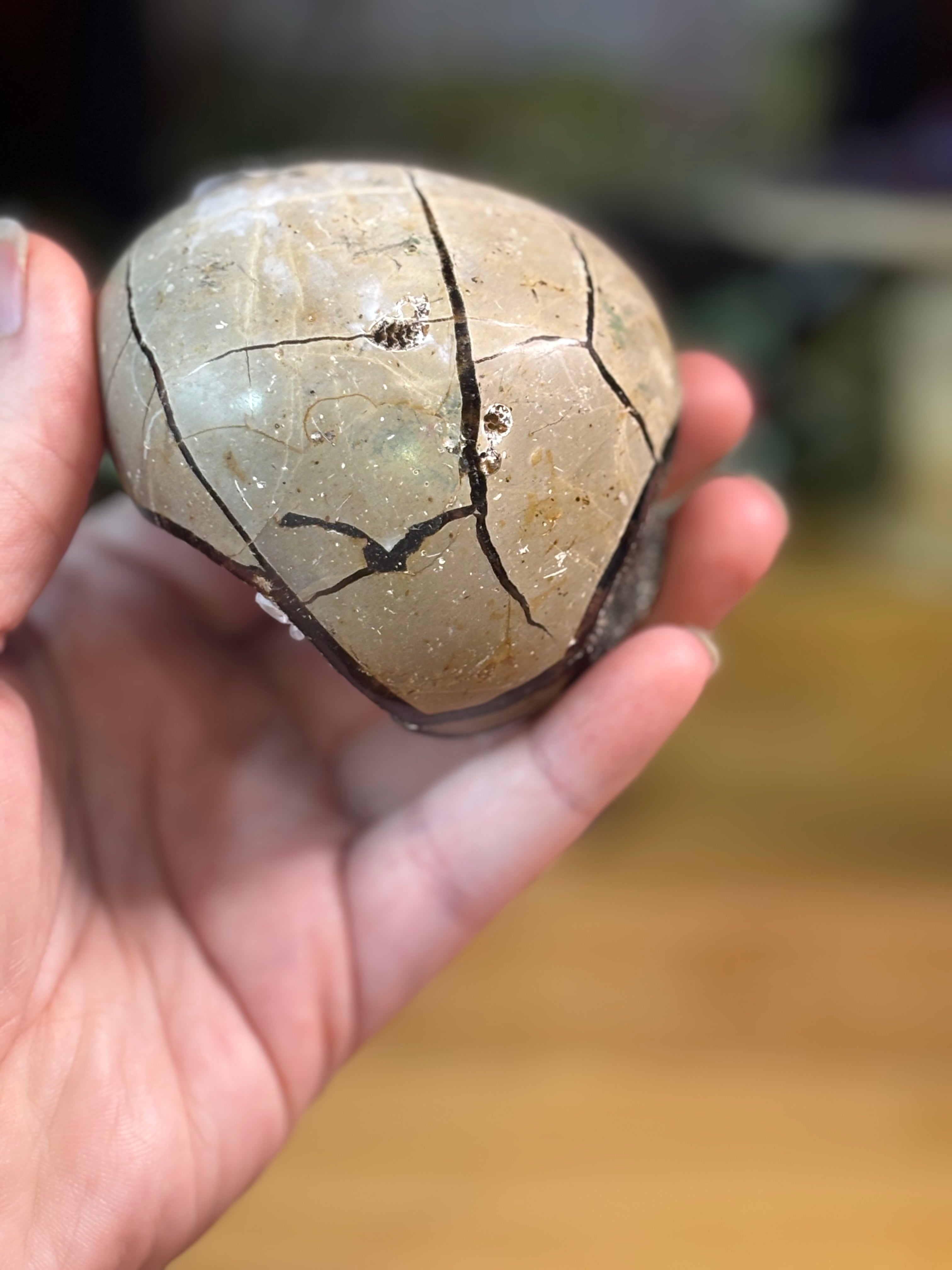 Septarian Egg w/calcite