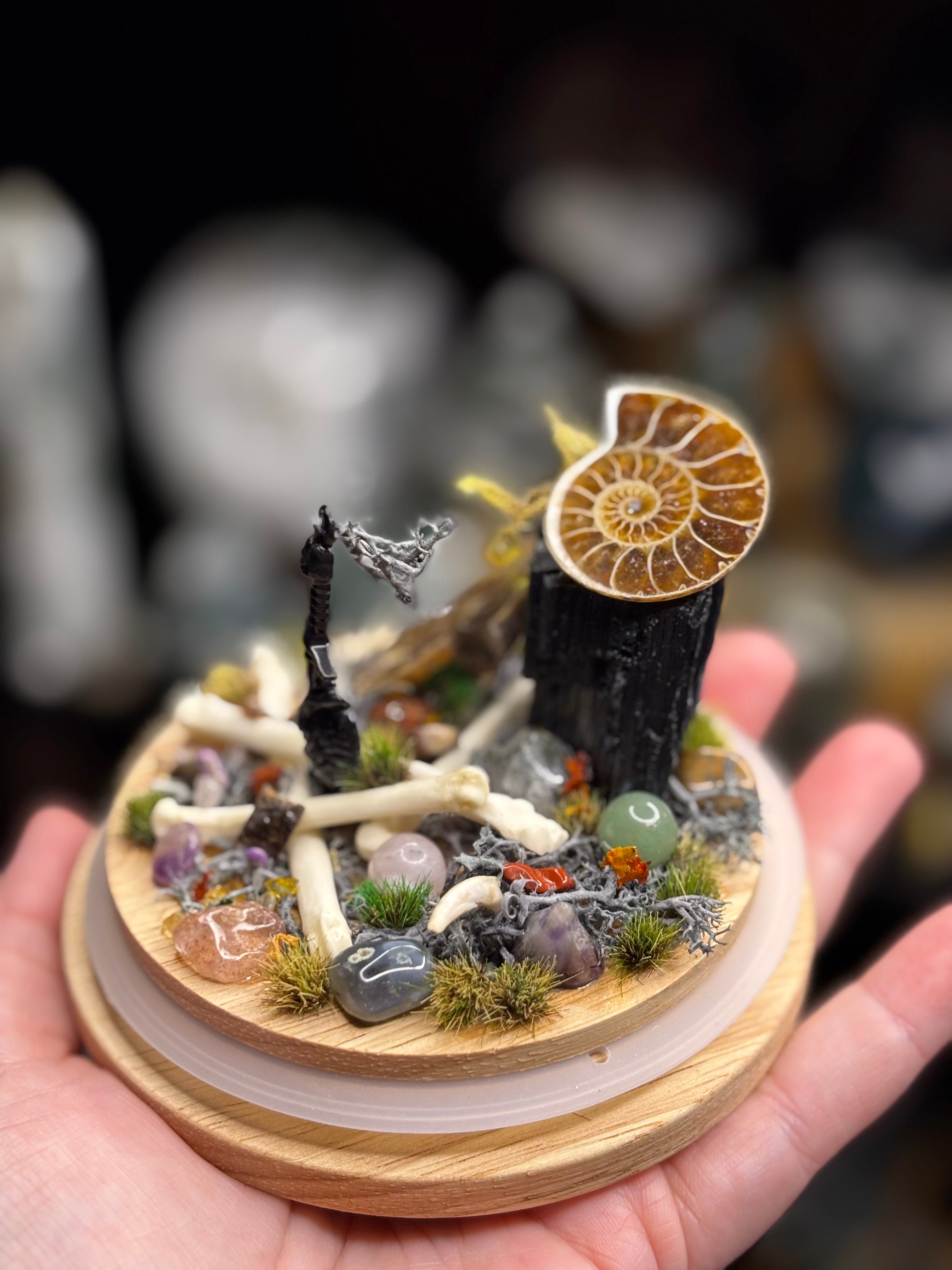Ancient Debris Curio Dome