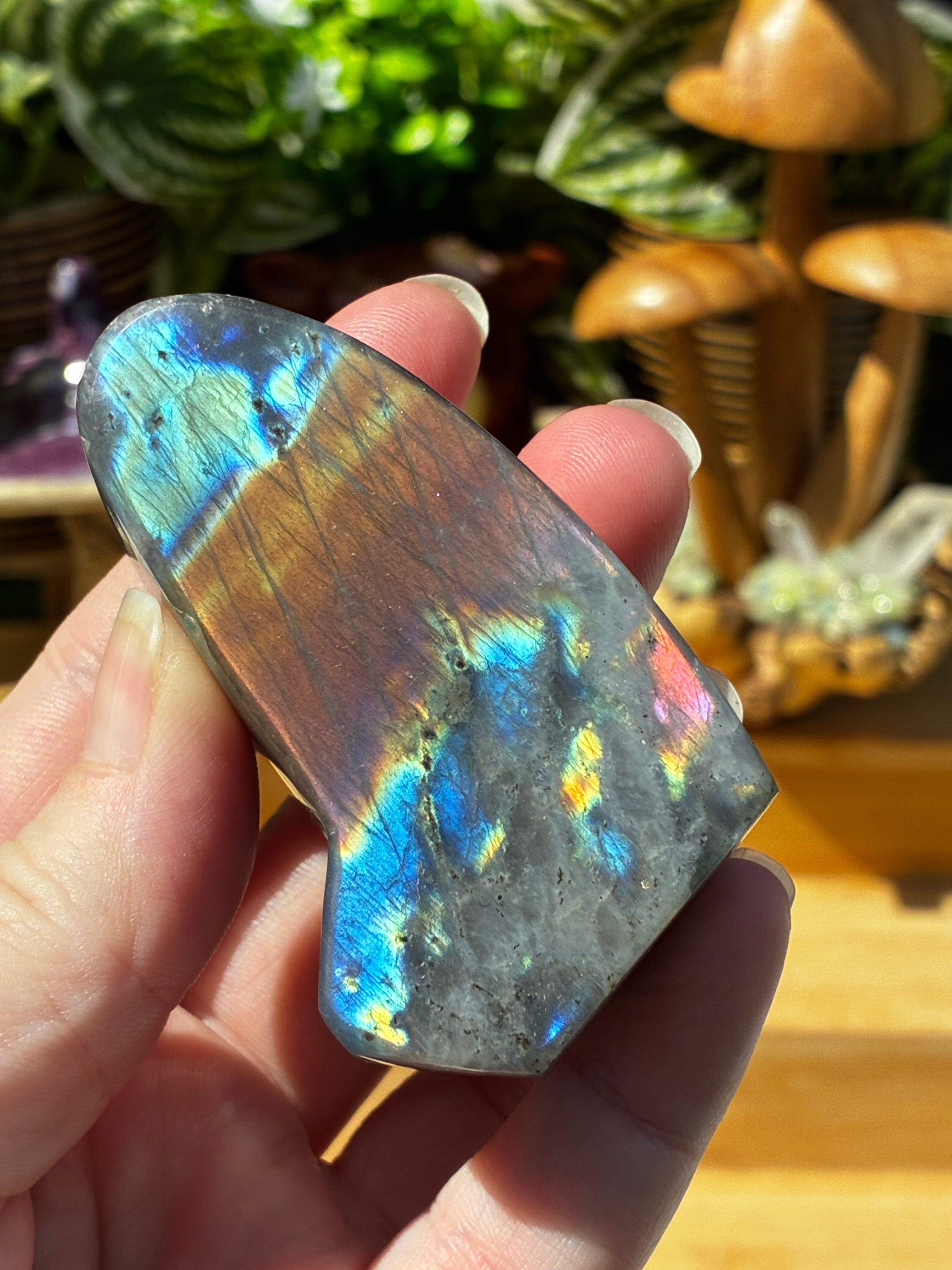 Labradorite Unique Freeform