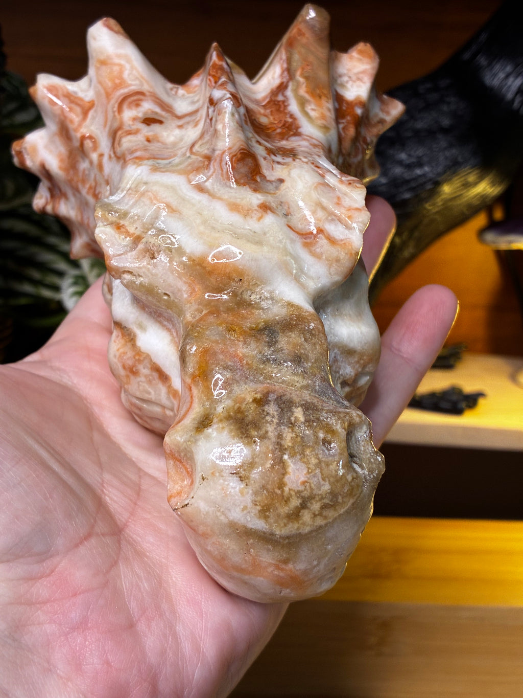 Amber Calcite Dragon Head 2
