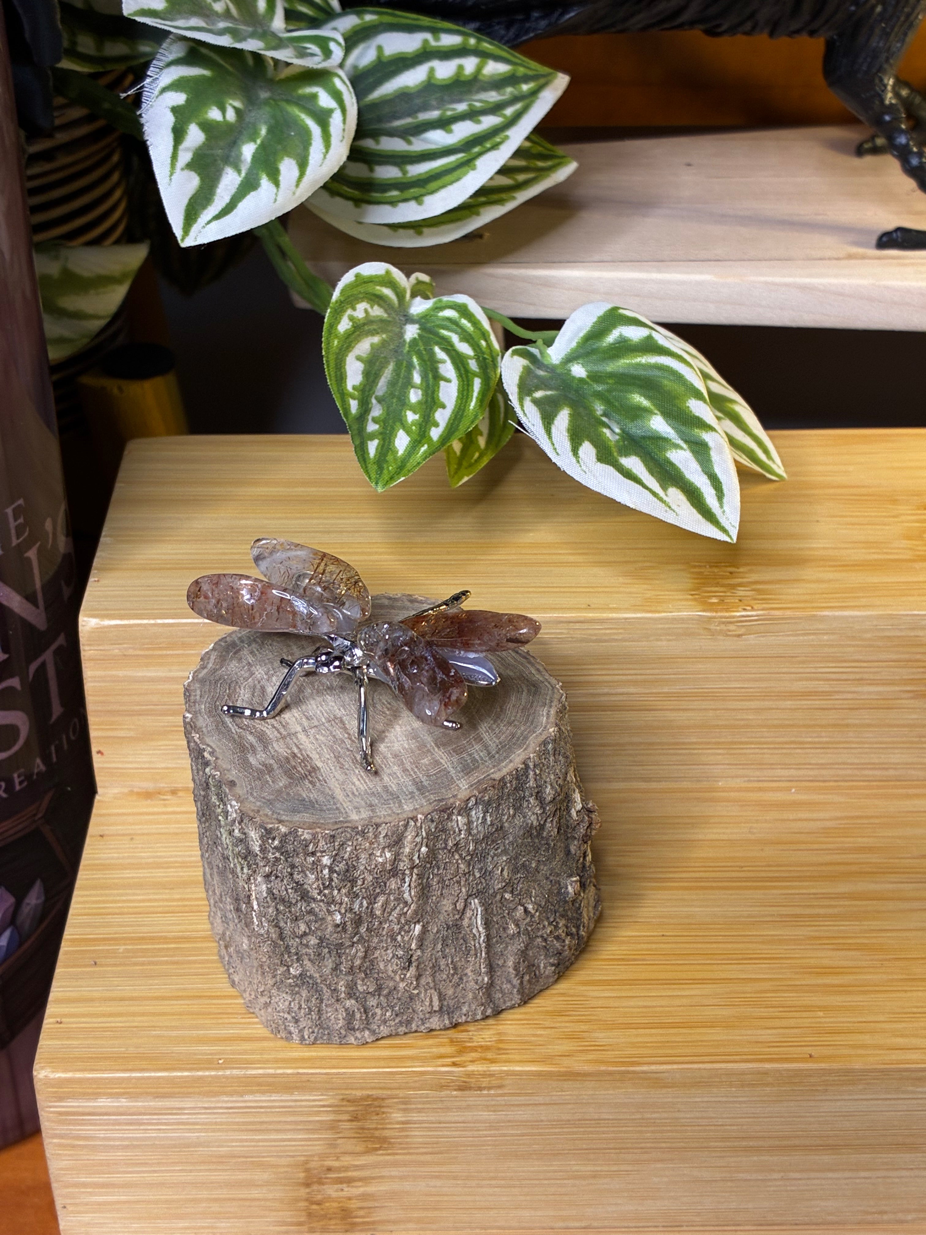 Copper Rutile Dragonfly 2