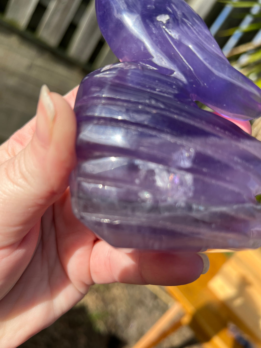 Purple Fluorite Parrot