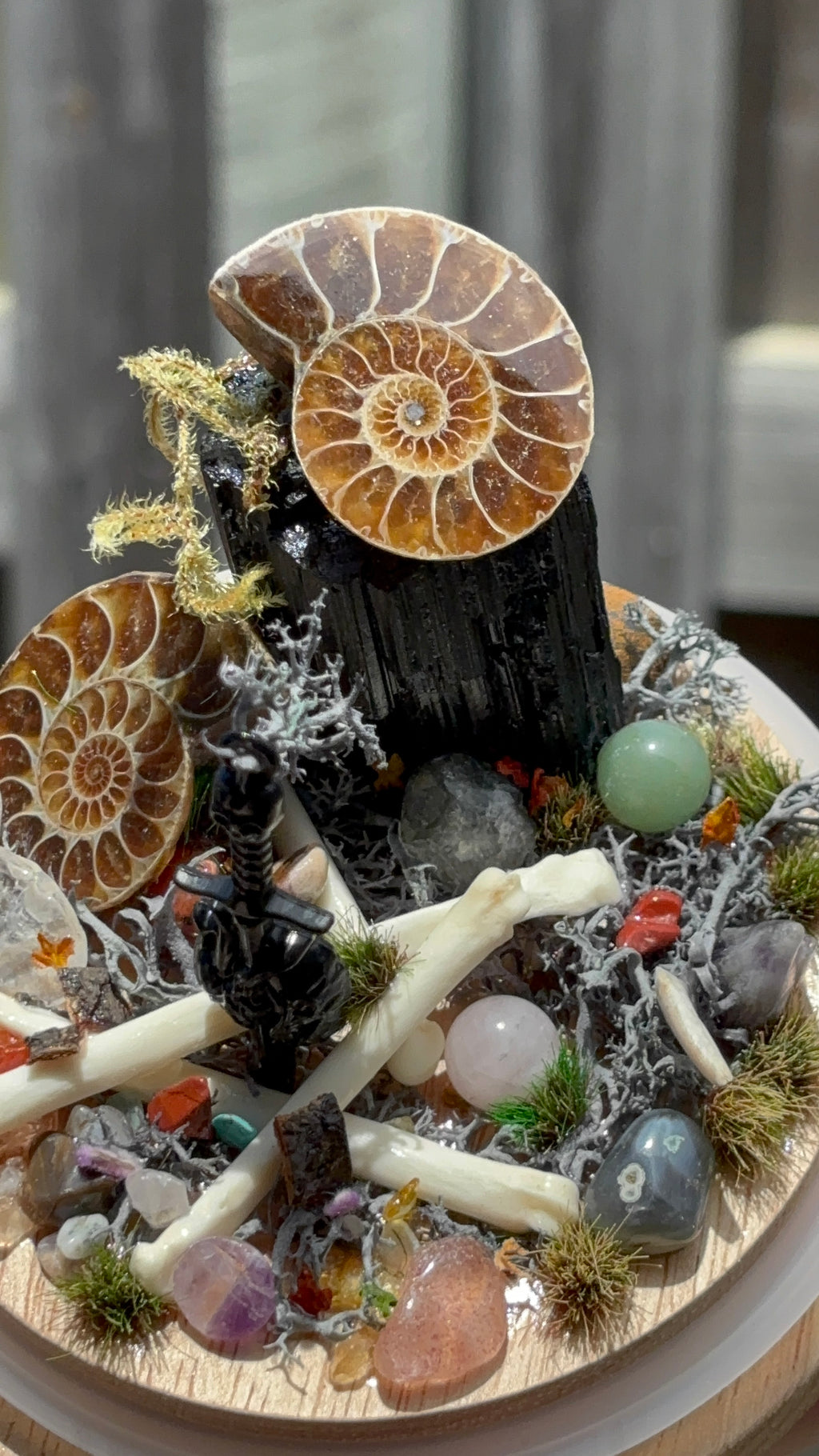 Ancient Debris Curio Dome