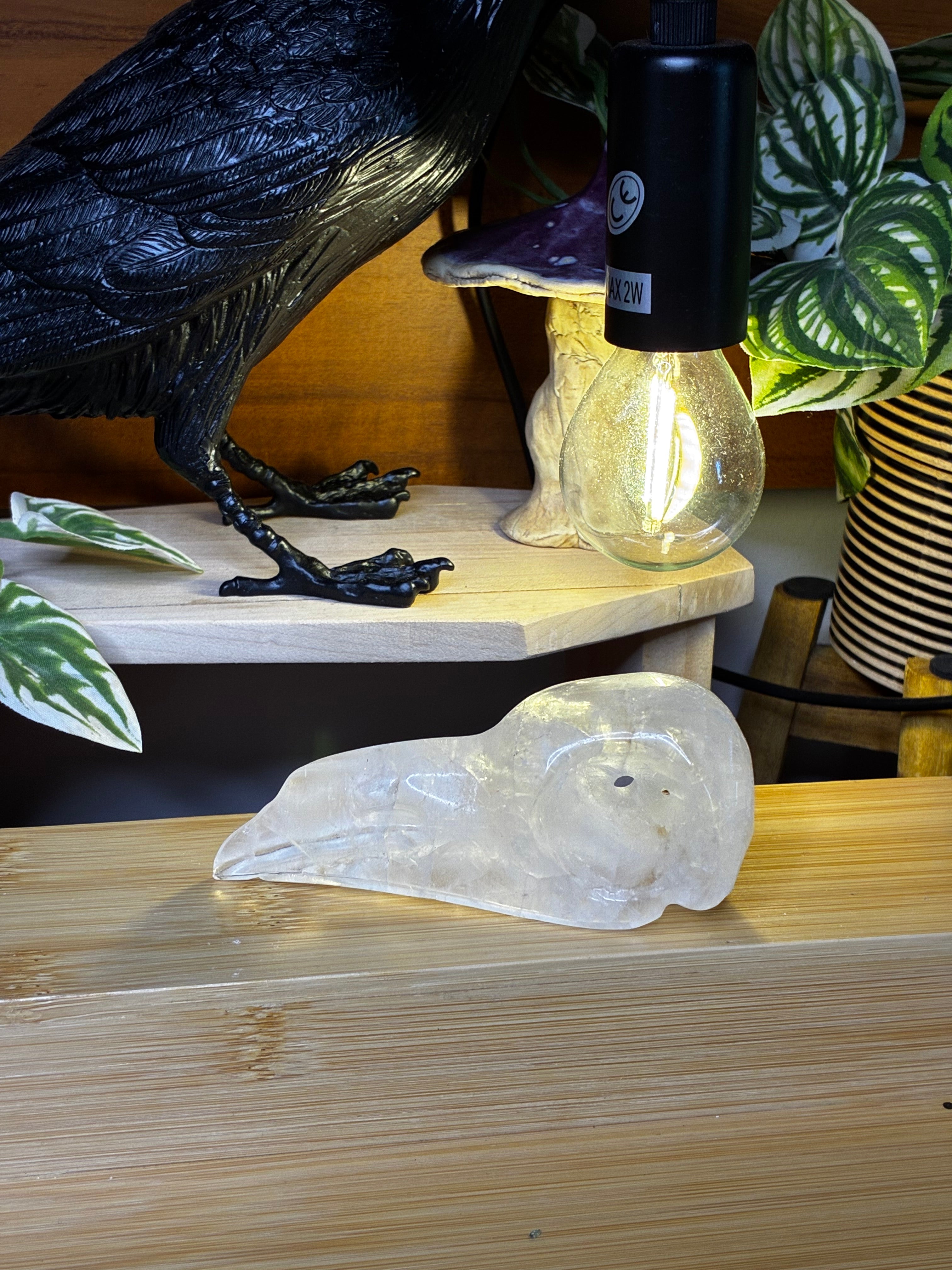 Clear Quartz Raven Skull