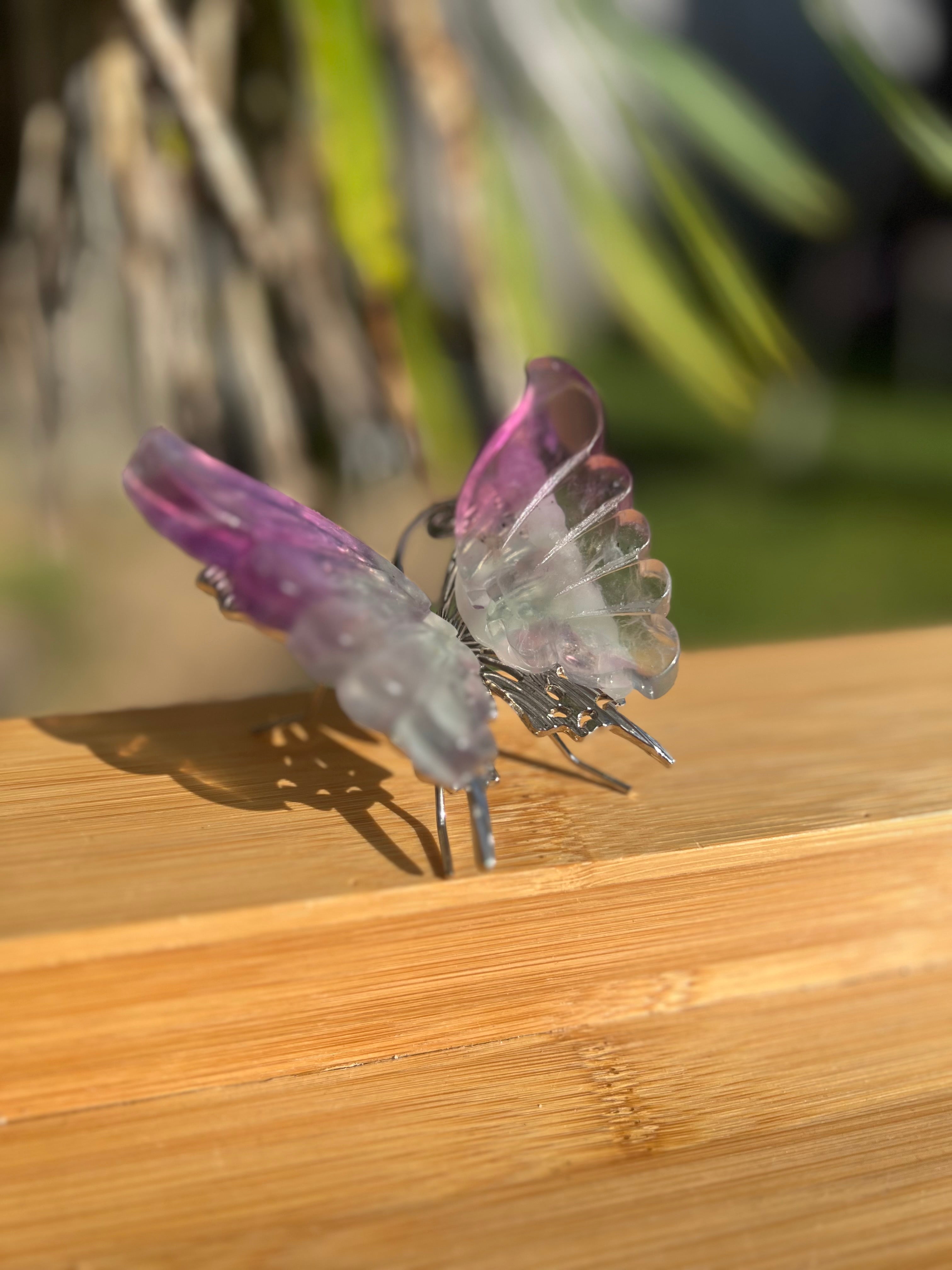Fluorite Butterfly 3