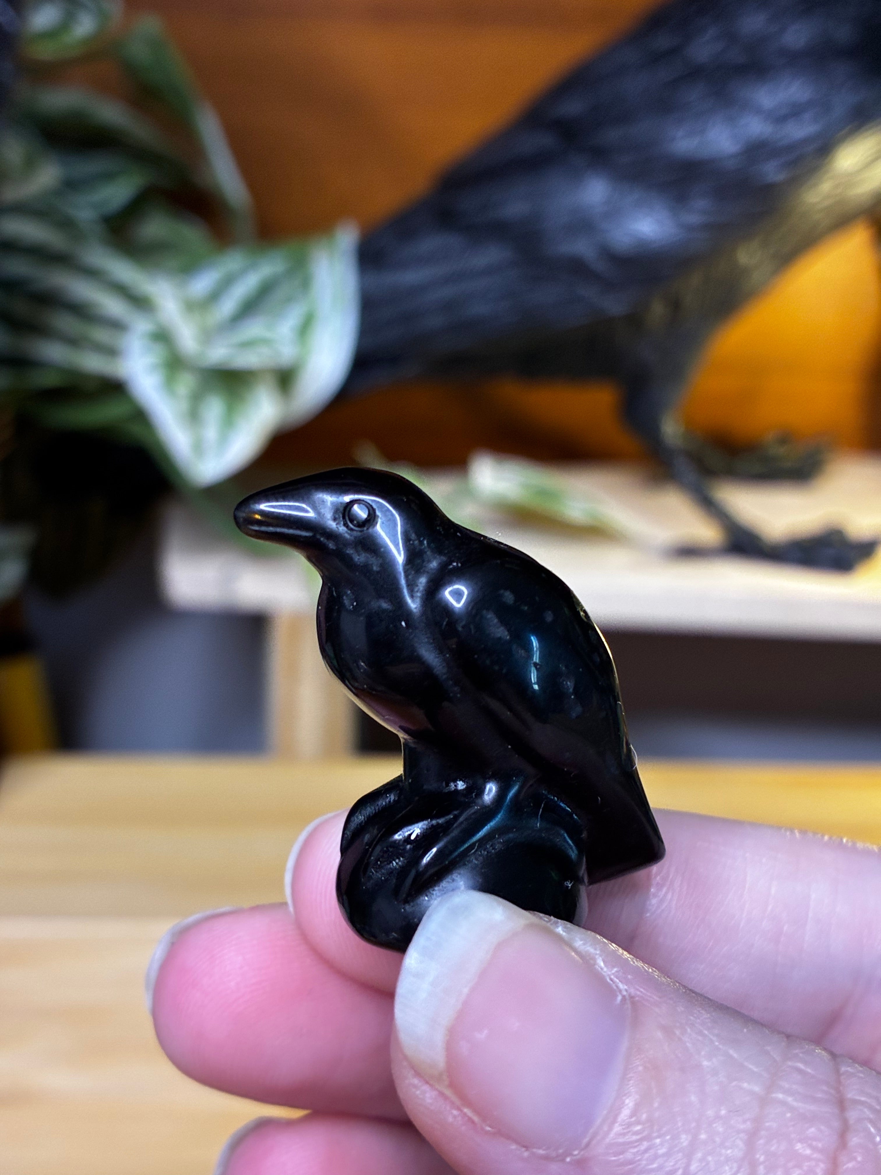 Black Obsidian Raven