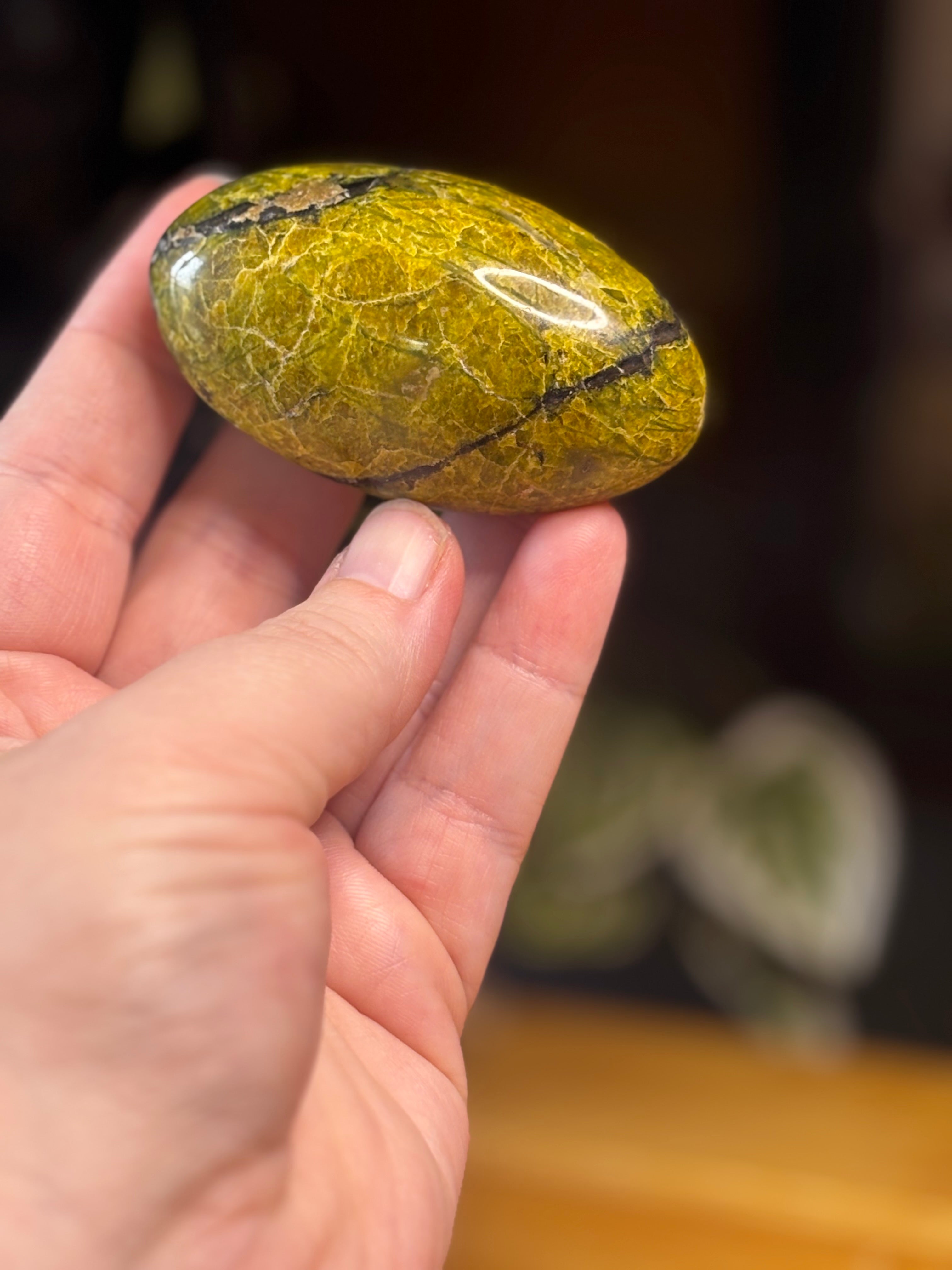 Green Opal Palm Stone