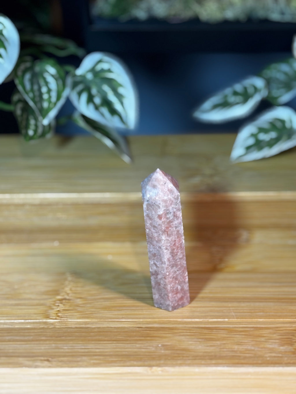 Sunstone Point 4
