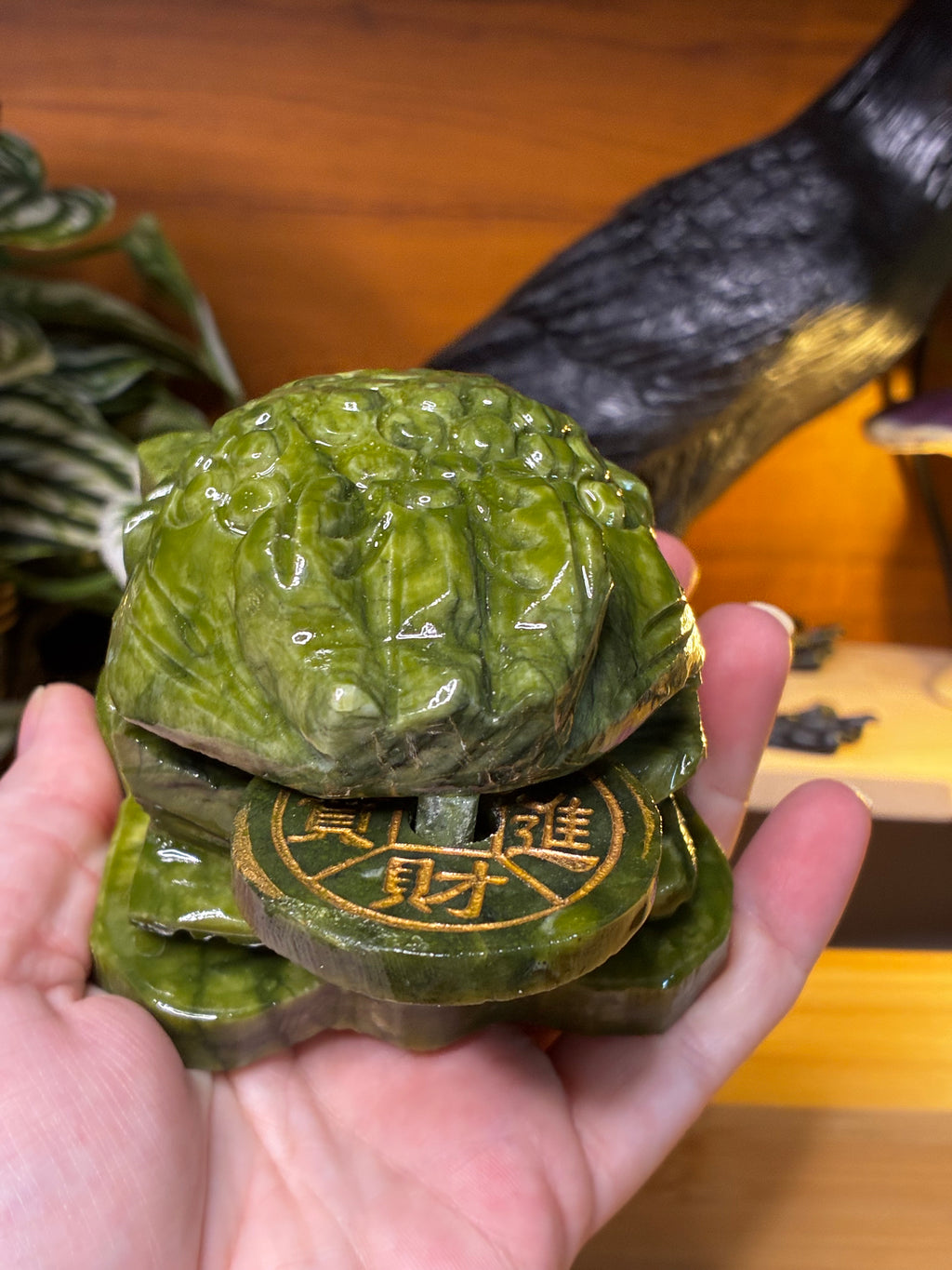 Green Jade Money Toad 1