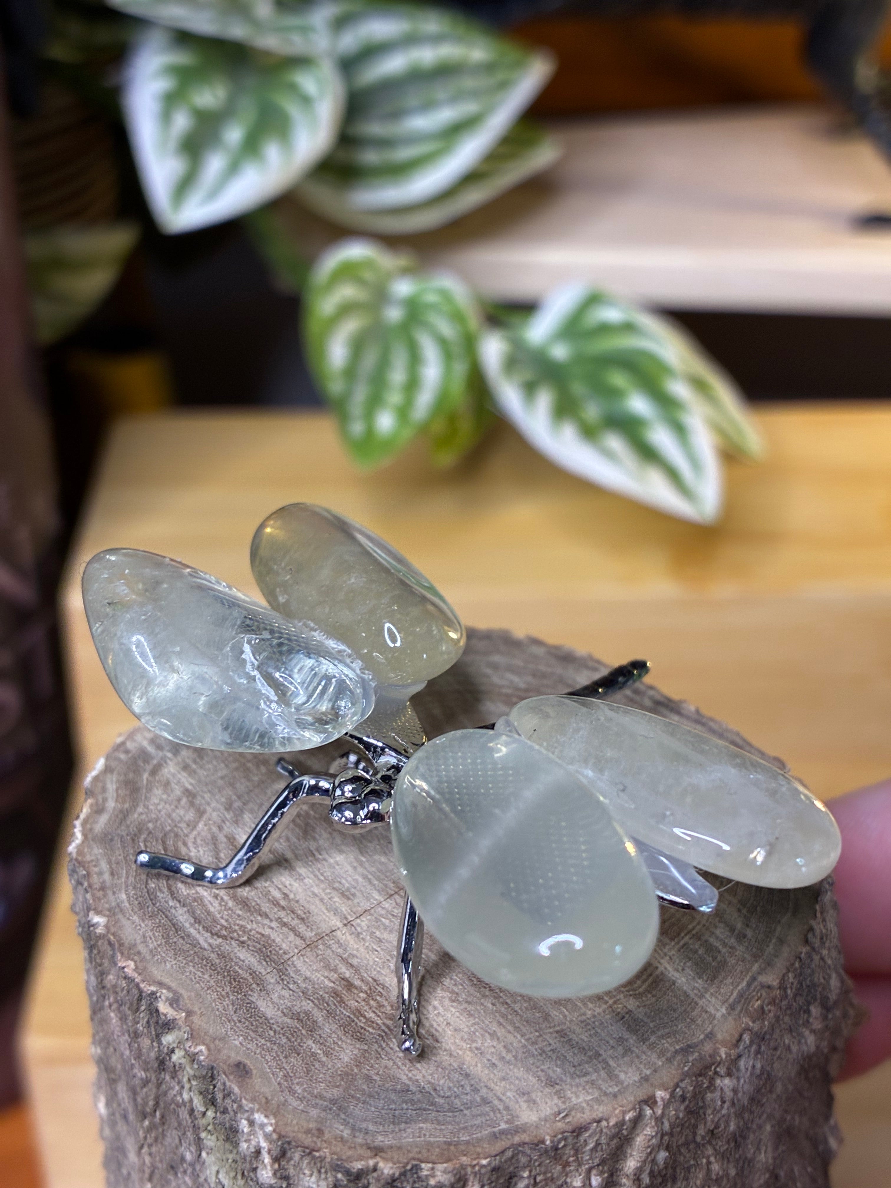 Citrine Dragonfly