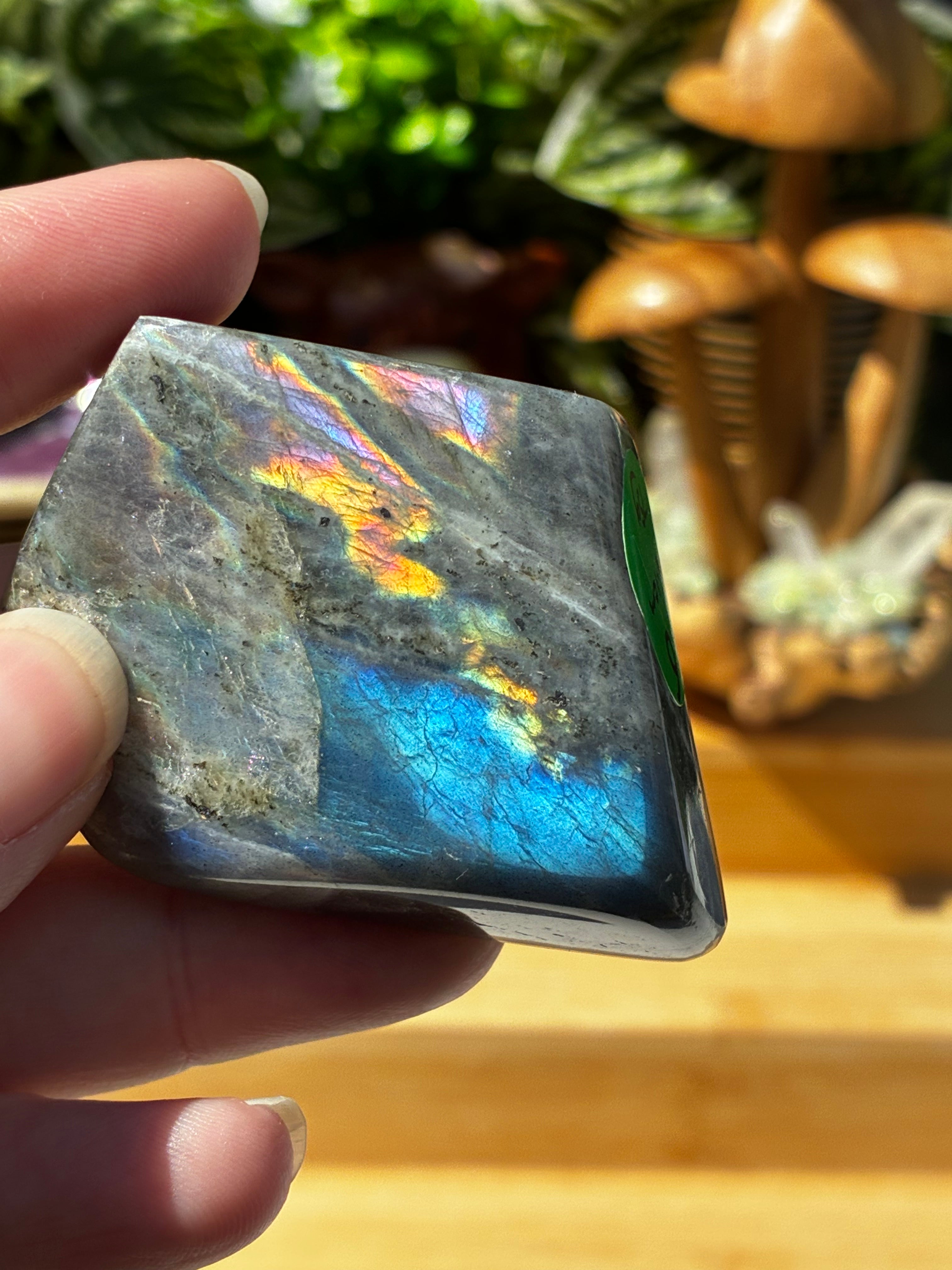 Labradorite Freeform 5