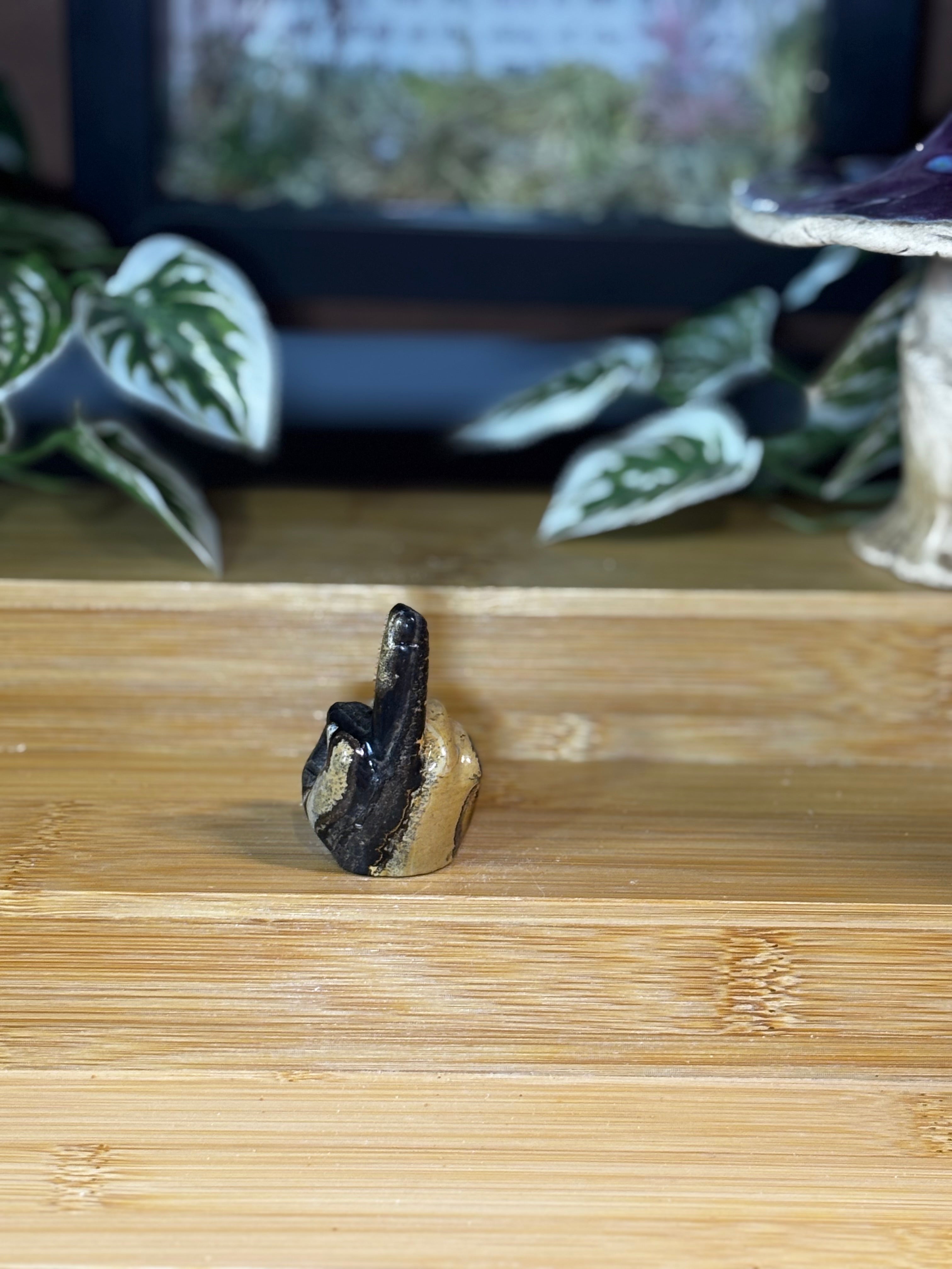 Picture Jasper Middle Finger Carving