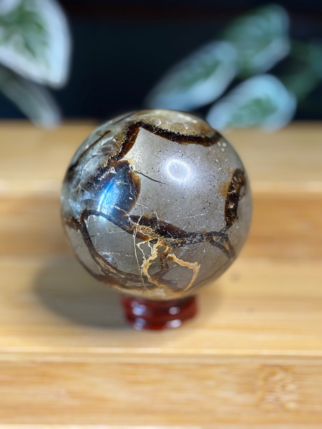 Septarian Sphere 1