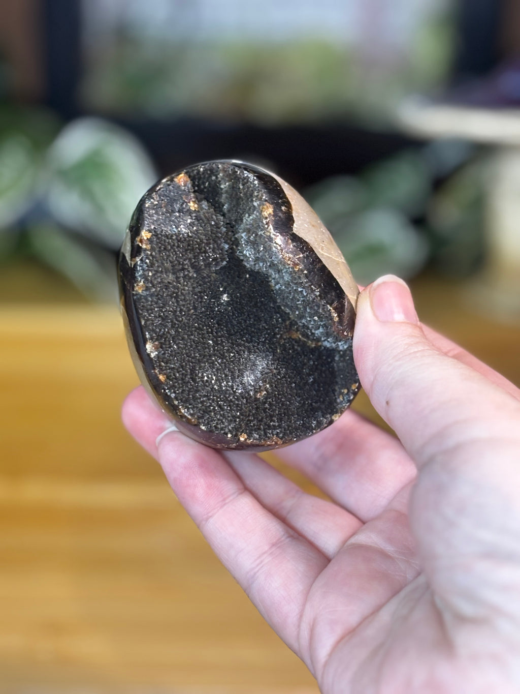 Septarian Egg