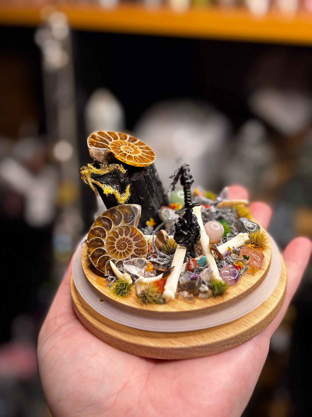 Ancient Debris Curio Dome