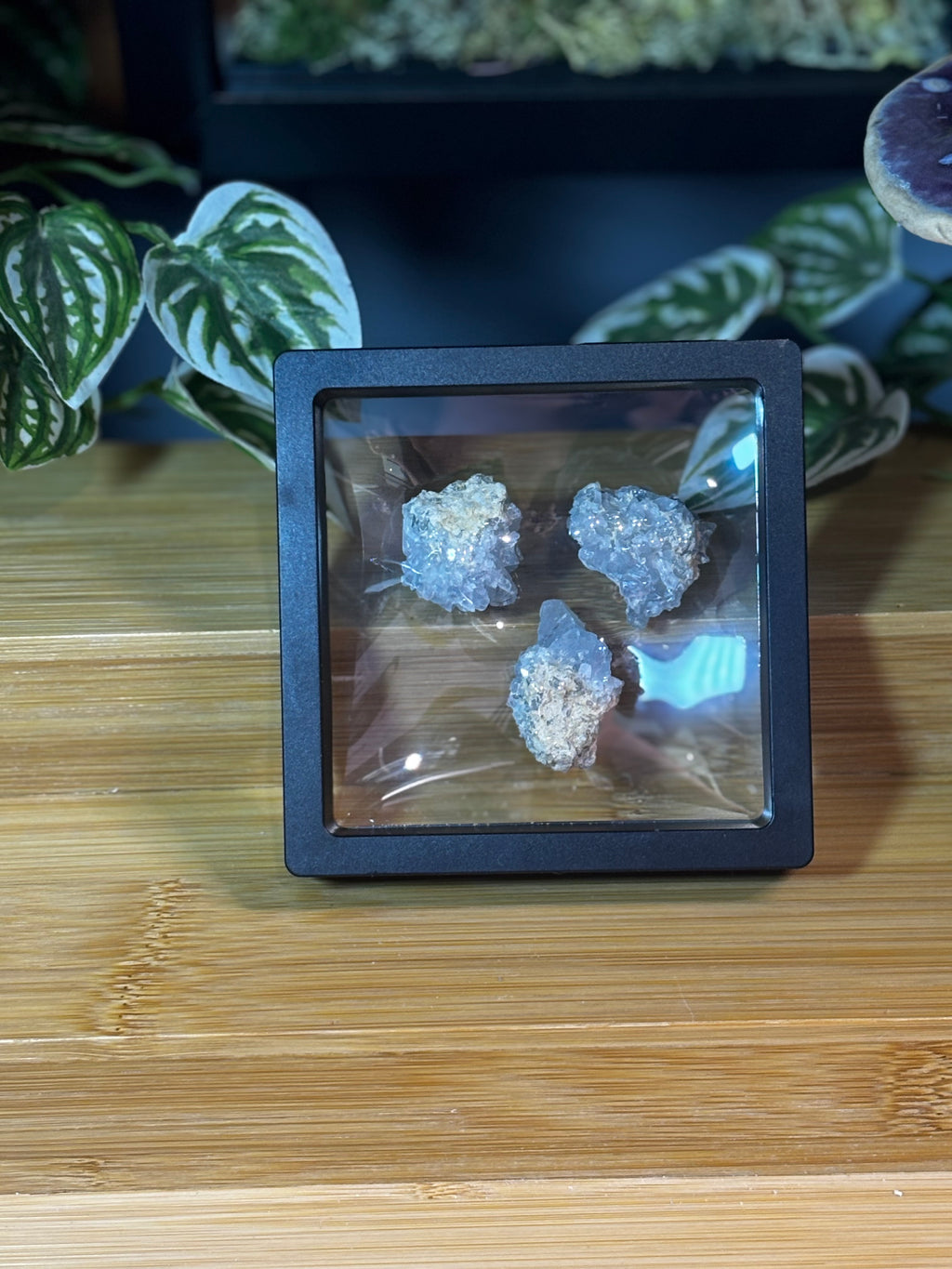 Celestite Cluster 2