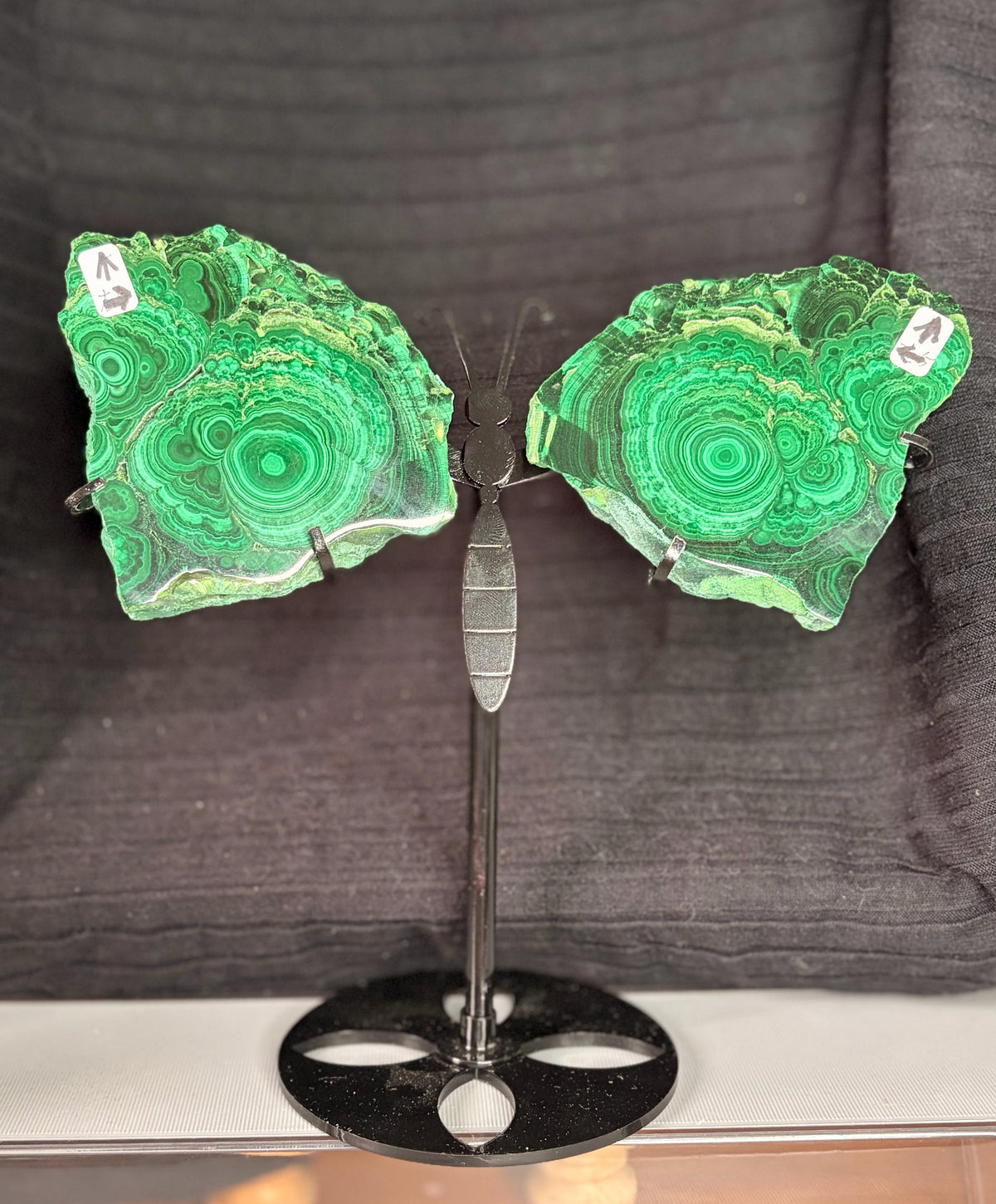 Custom Malachite Butterfly Wings on Stand