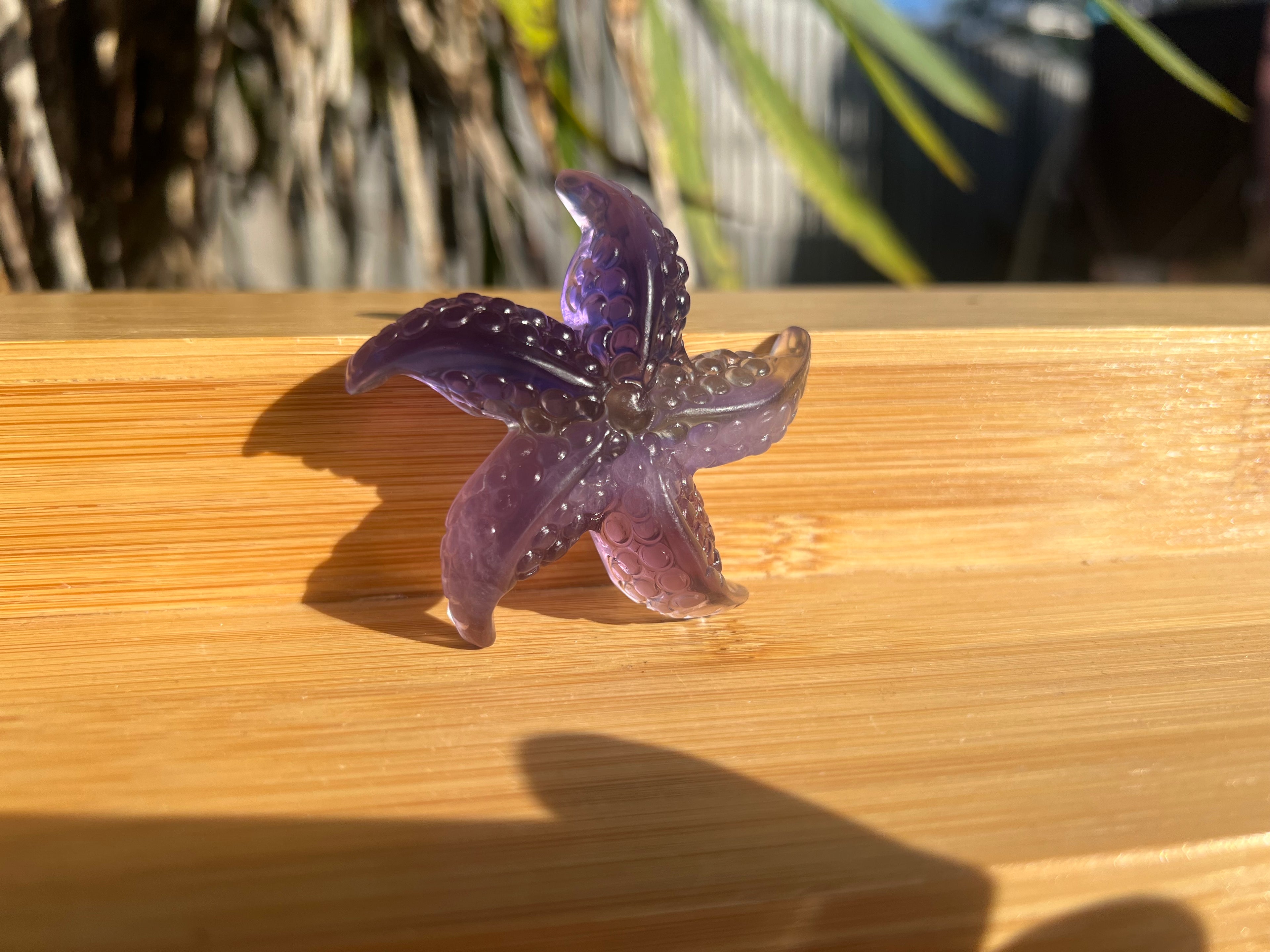 Fluorite Starfish 1