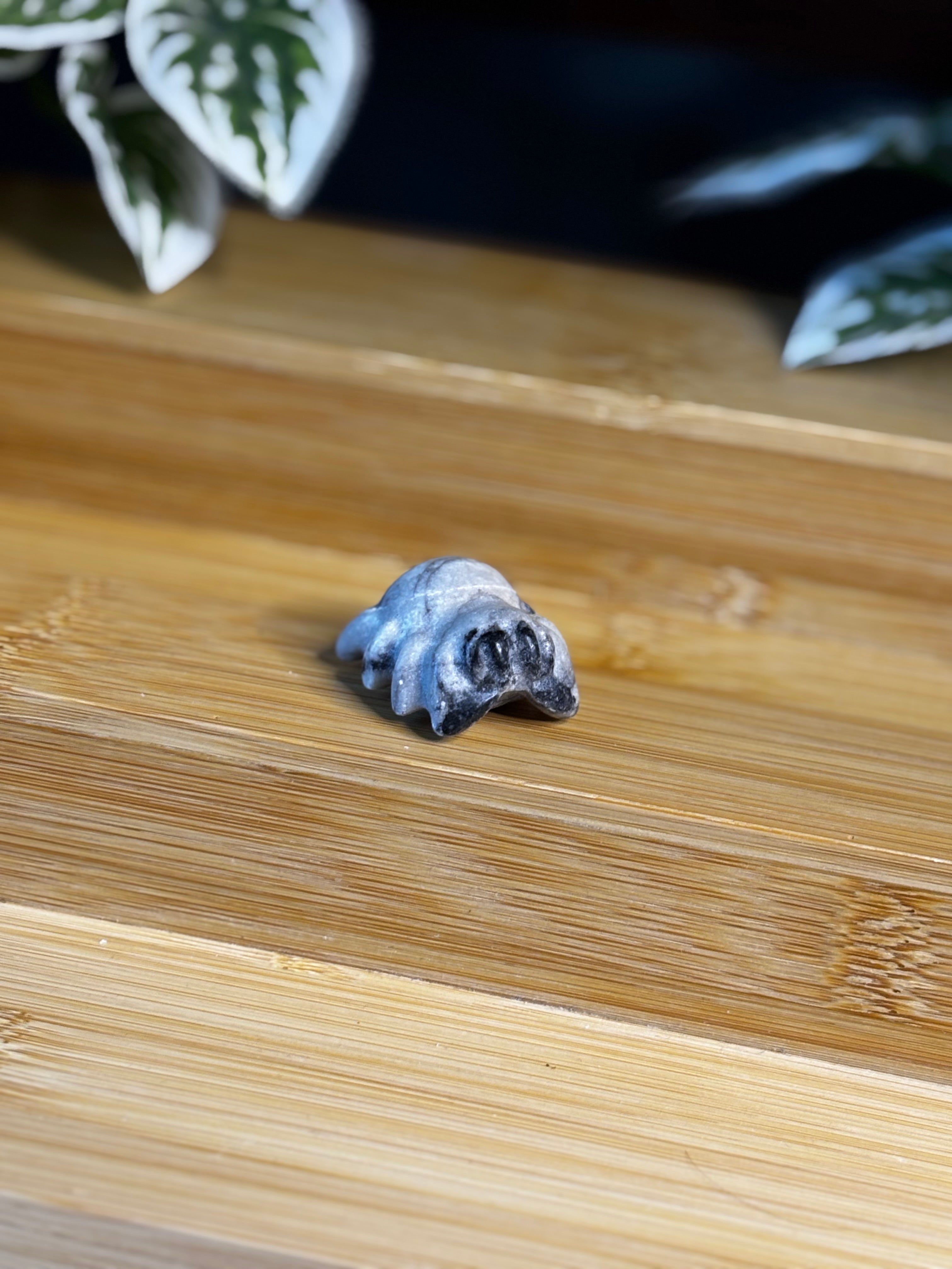 Spider Carving