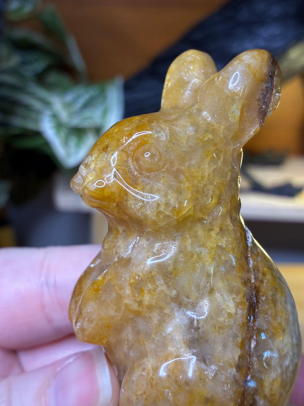 Golden Healer Bunny
