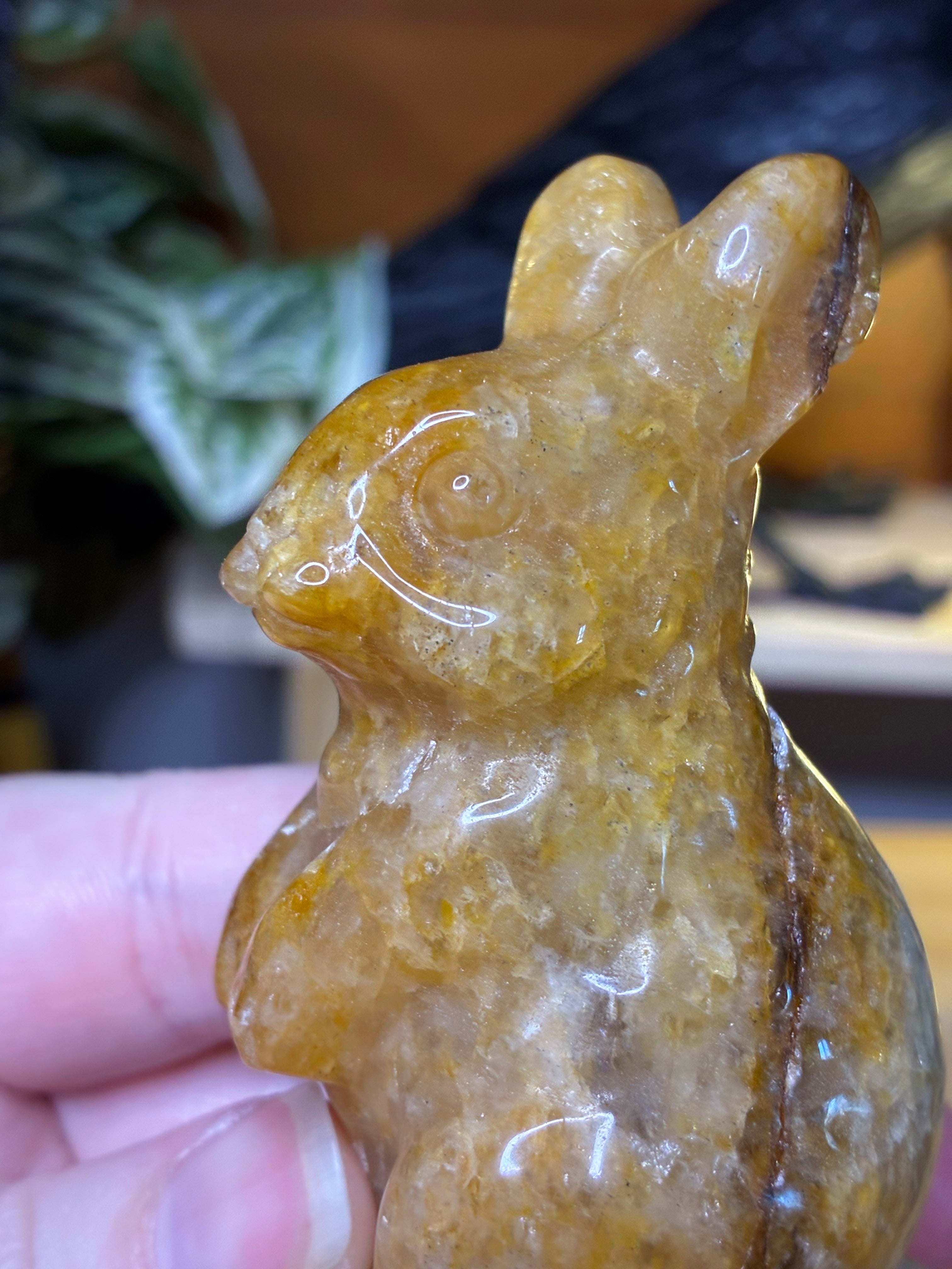 Golden Healer Bunny