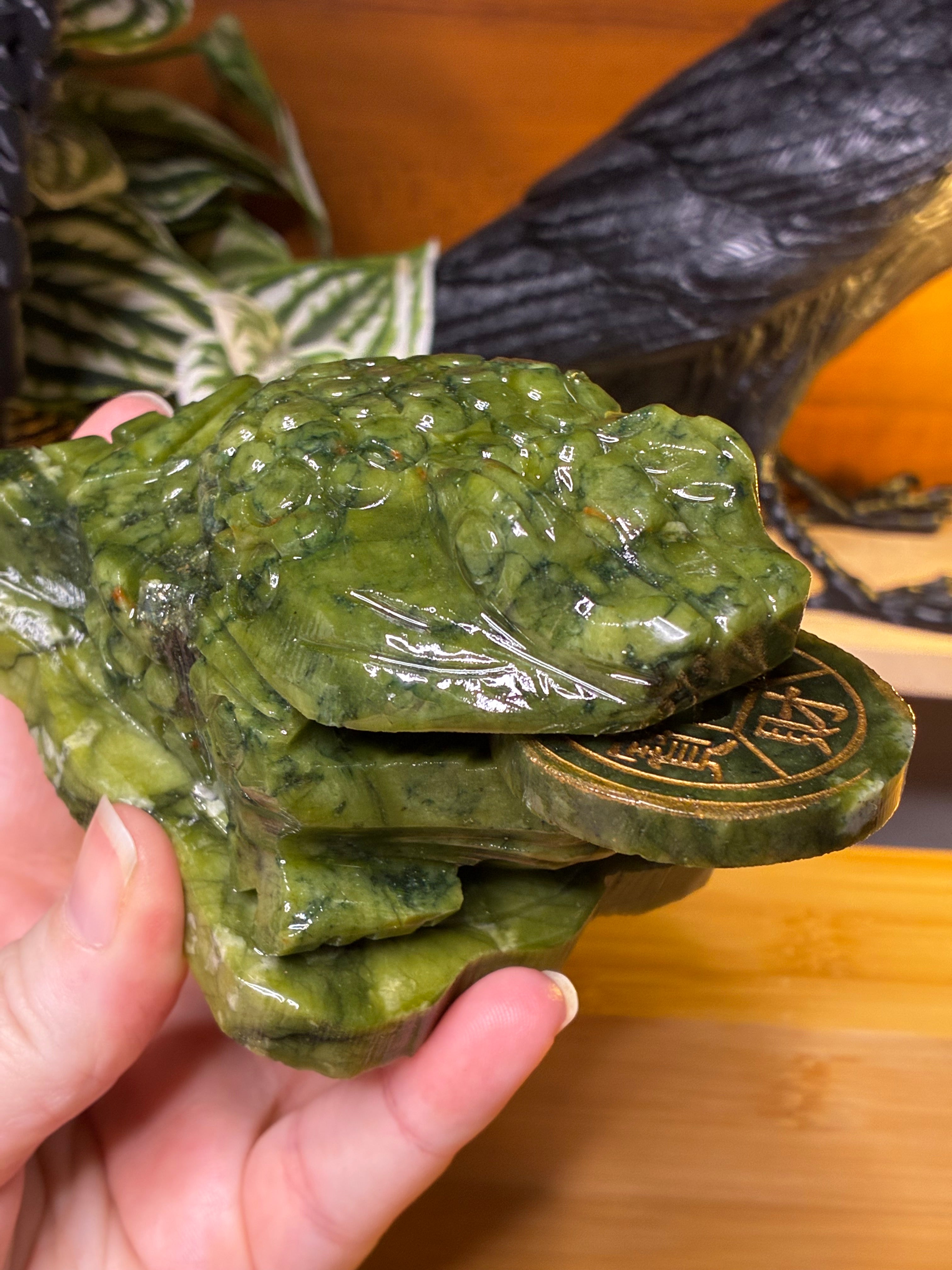 Green Jade Money Toad 3