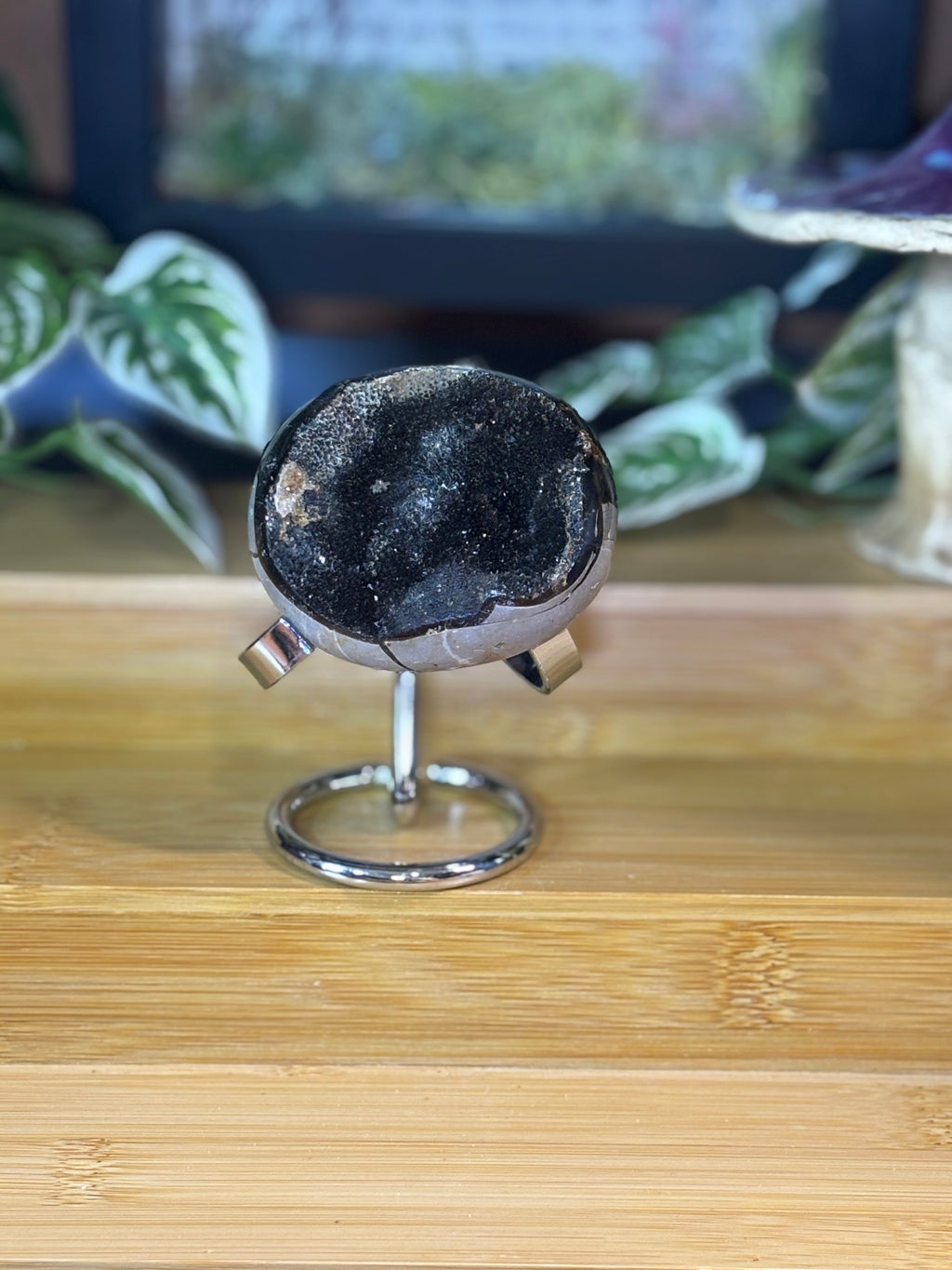 Septarian Egg 2