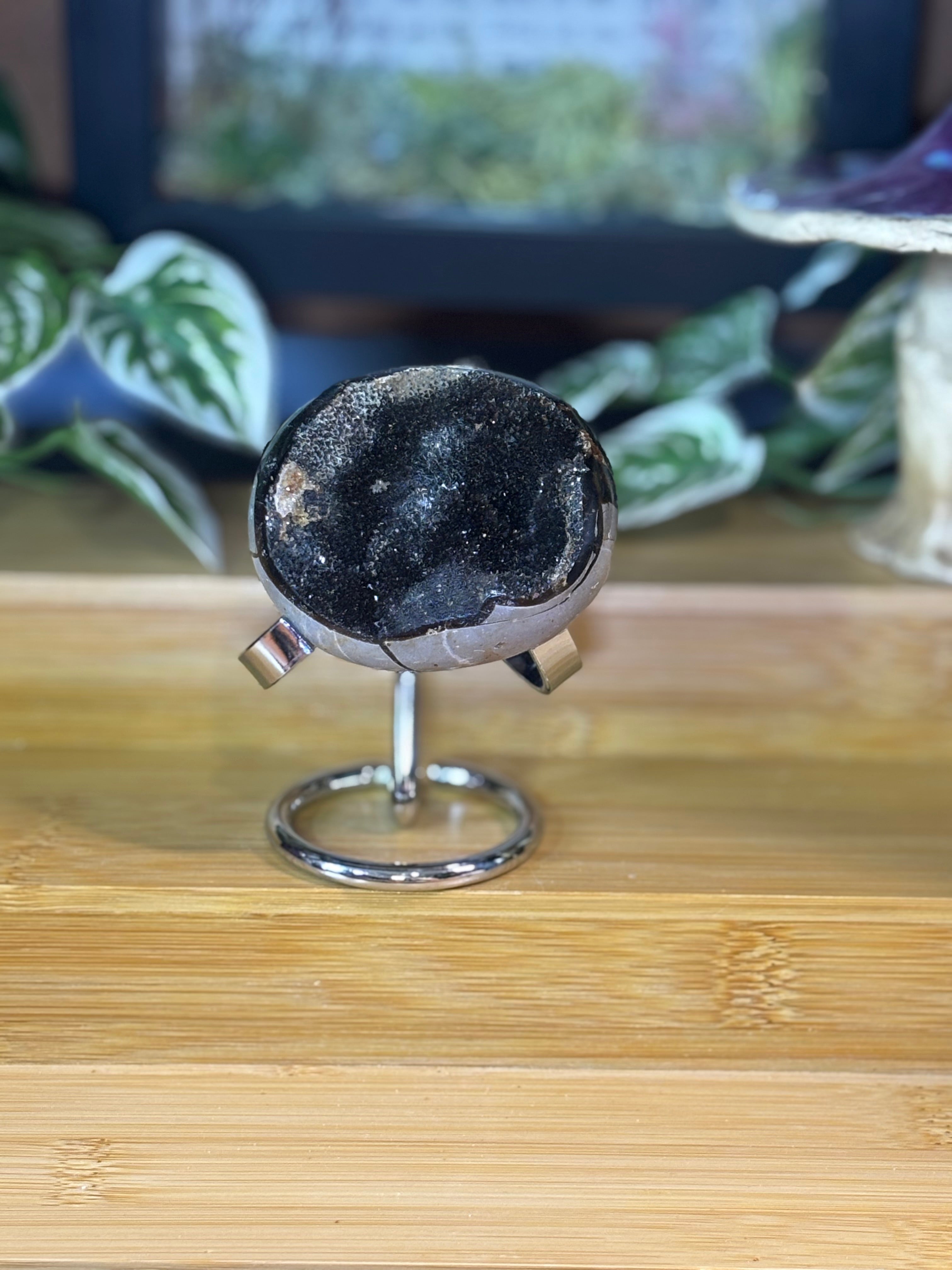 Septarian Egg 2