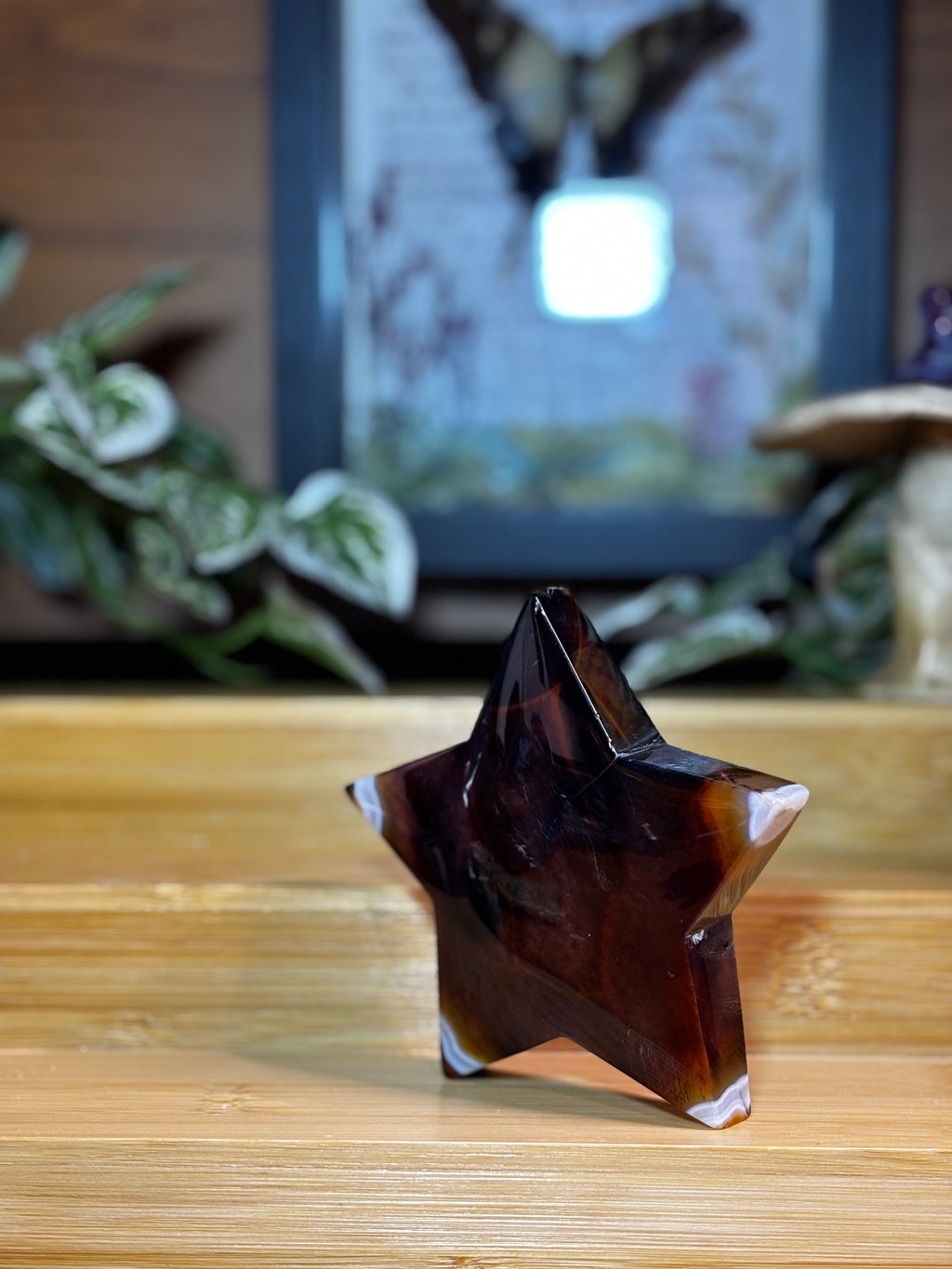 Sardonyx Star
