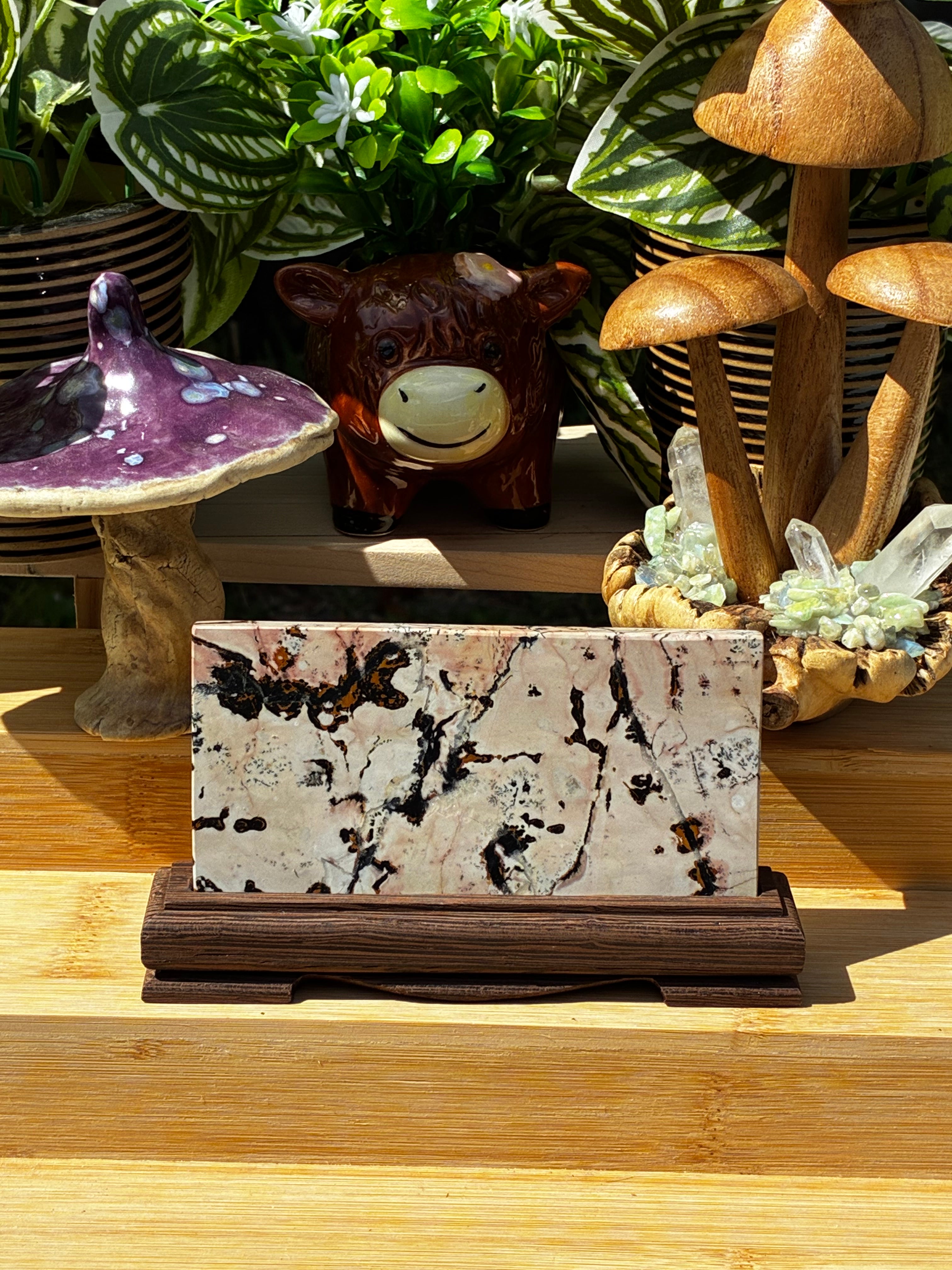Picture Jasper Slab on Stand