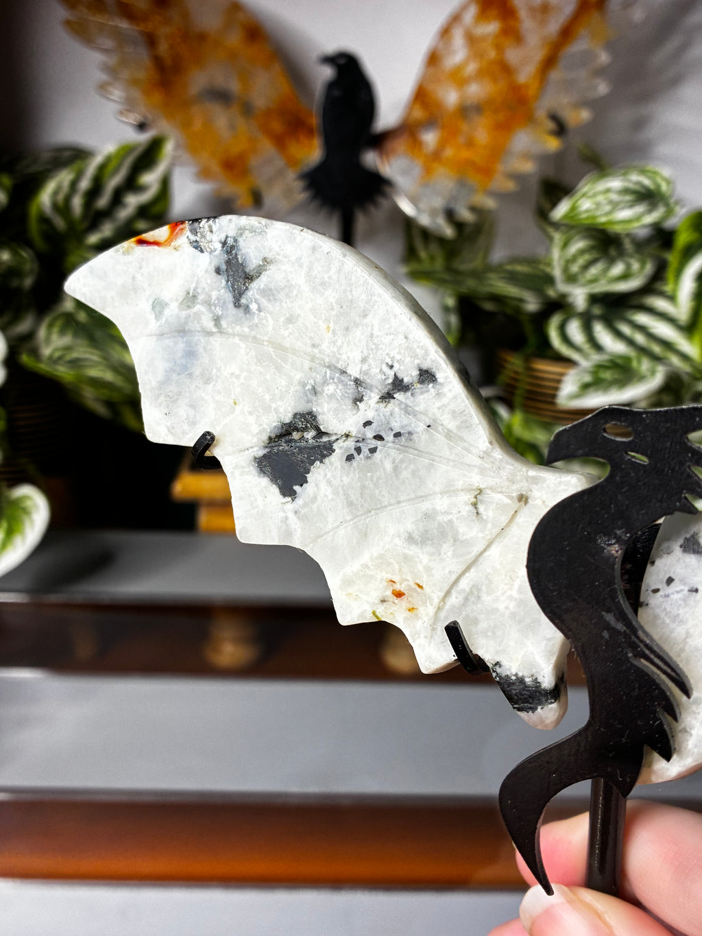Rainbow Moonstone with Black Tourmaline Dragon Wings on Display Stand