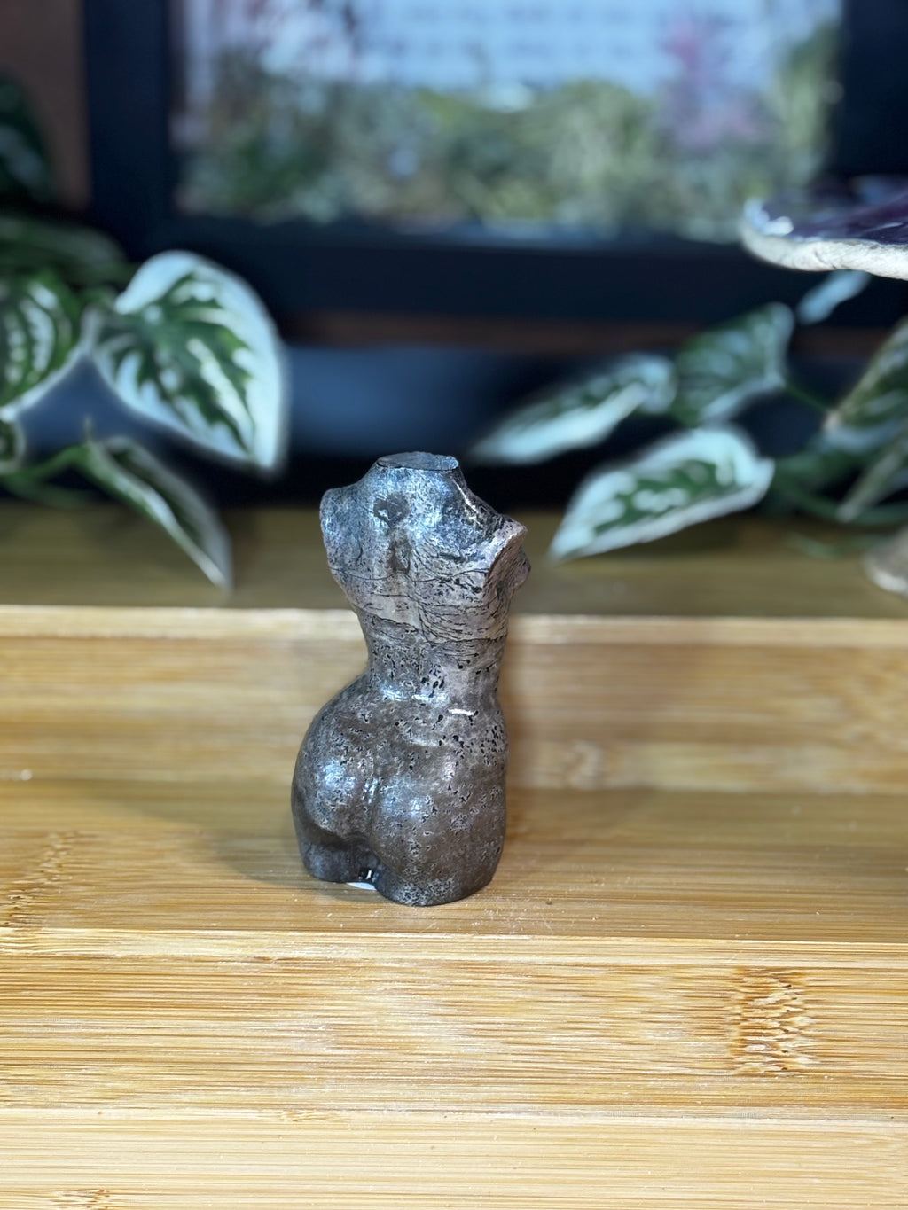 Picture Jasper Goddess Body