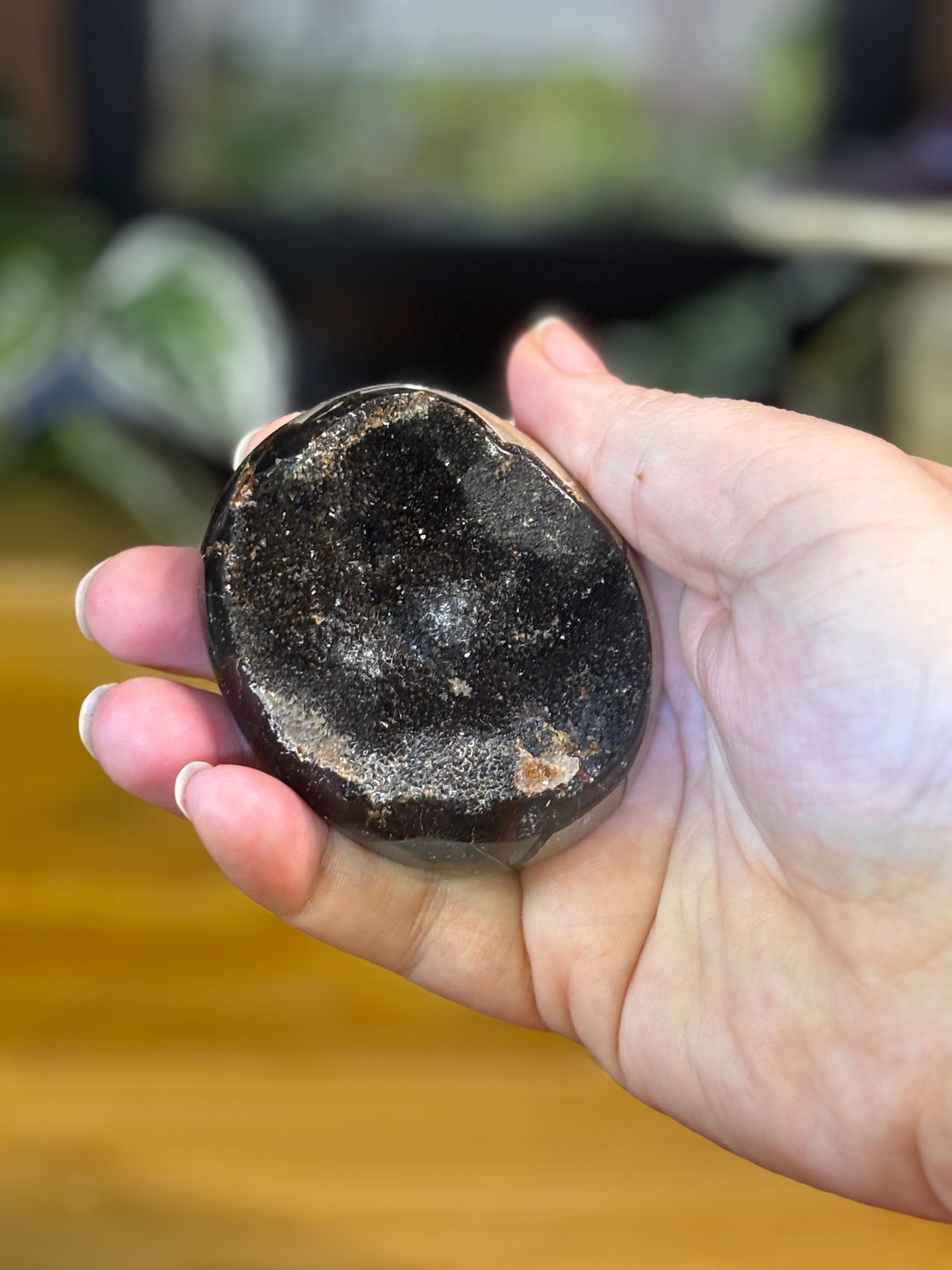 Septarian Egg 2