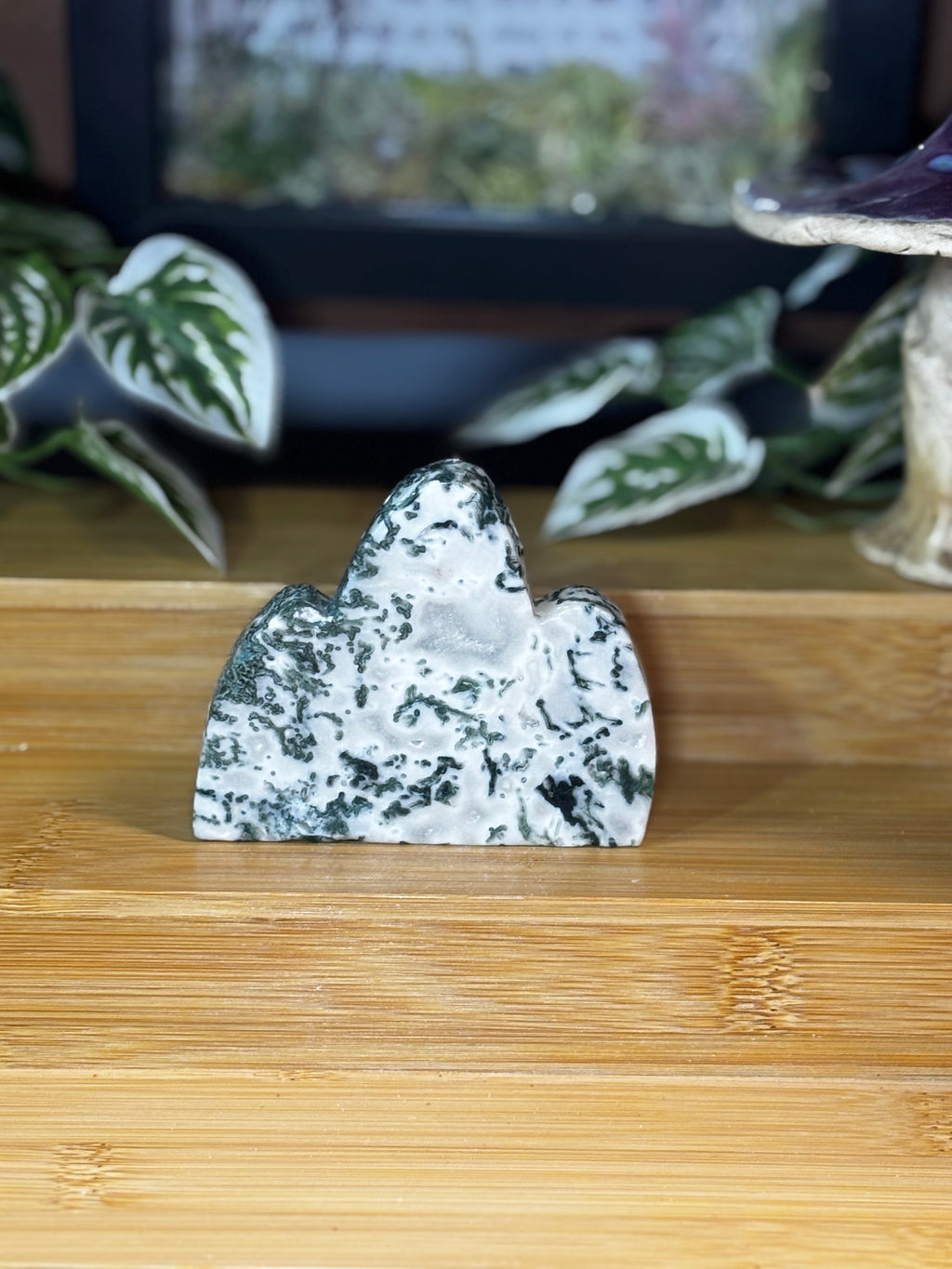 Tree Agate Freeform
