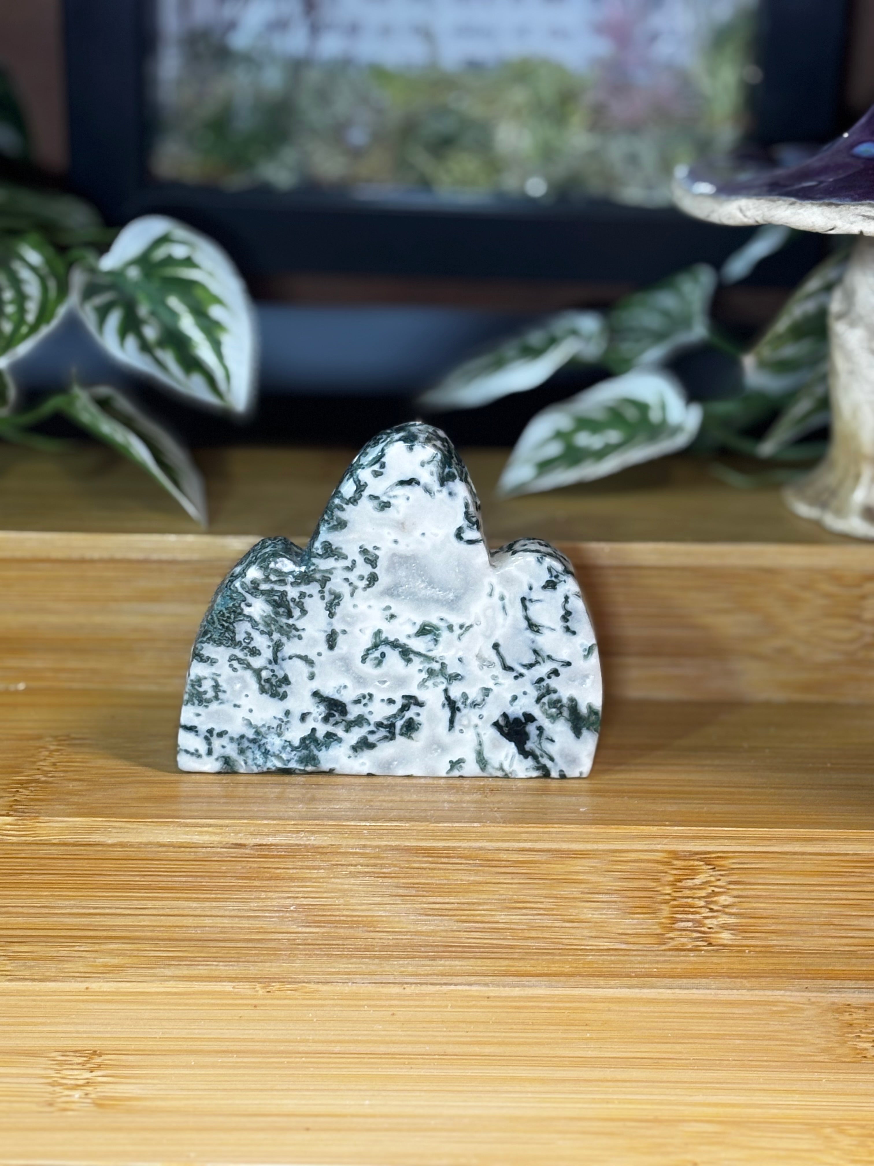 Tree Agate Freeform