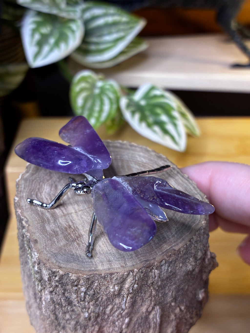 Amethyst Dragonfly