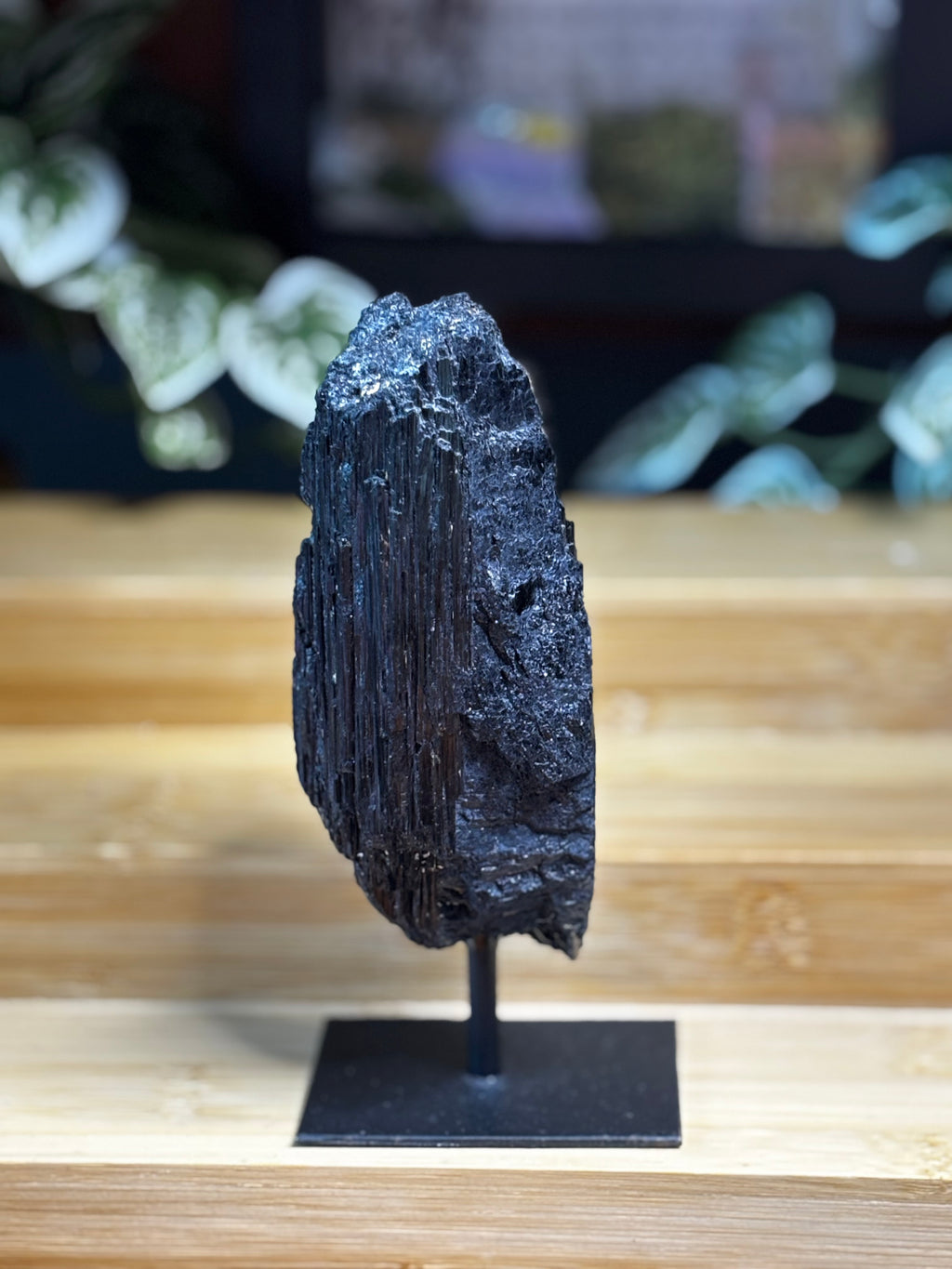 Black Tourmaline on Stand