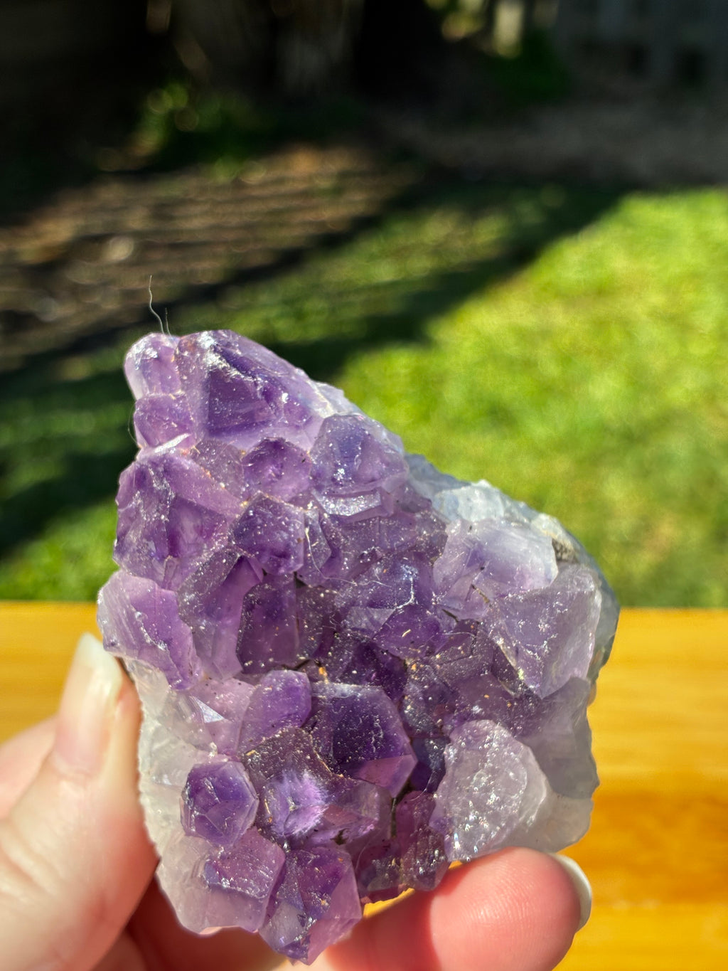Amethyst Crystal Cluster Specimen