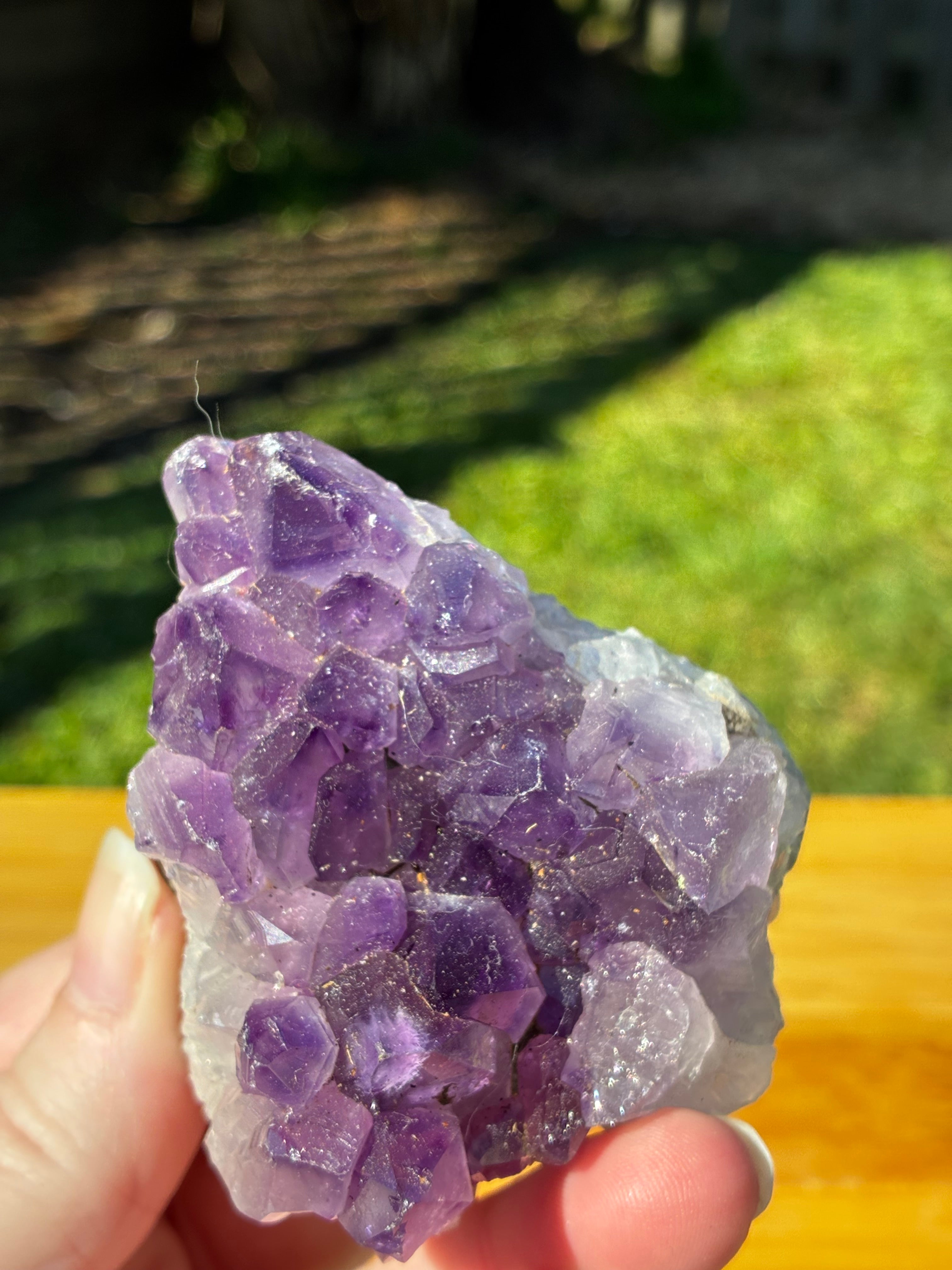 Amethyst Crystal Cluster Specimen