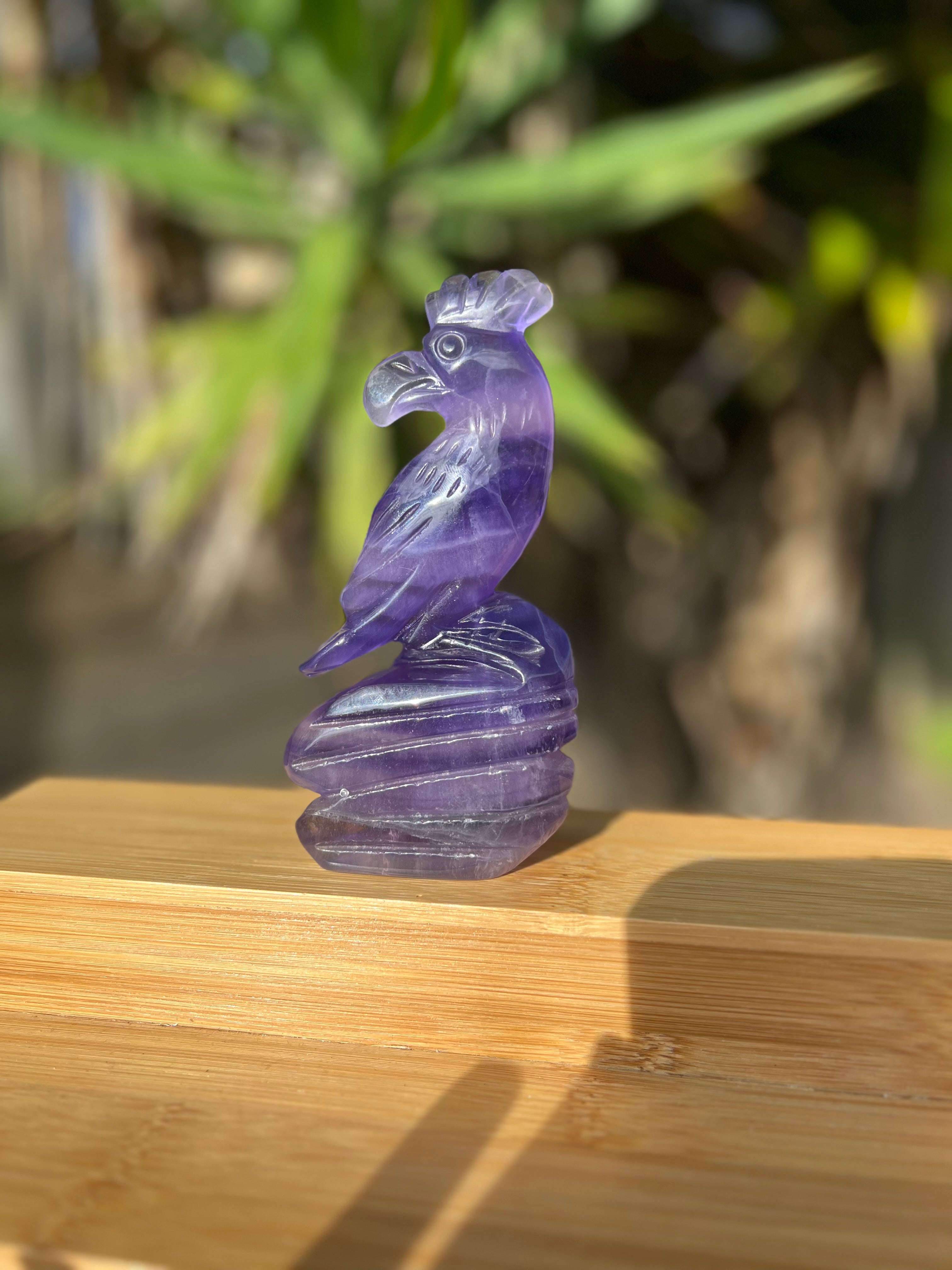 Purple Fluorite Parrot