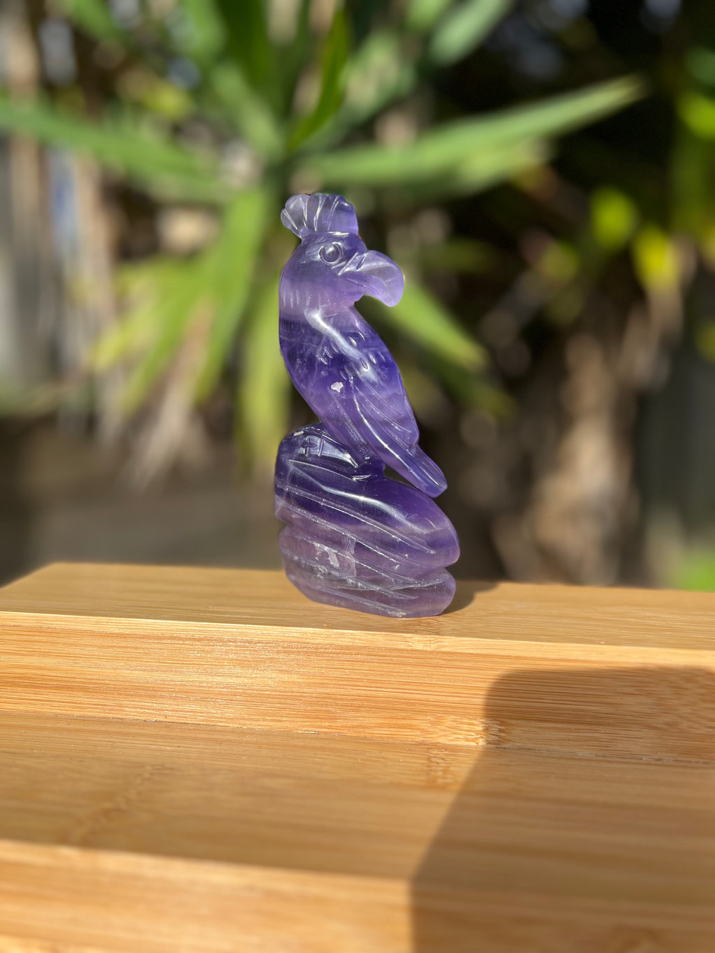 Purple Fluorite Parrot